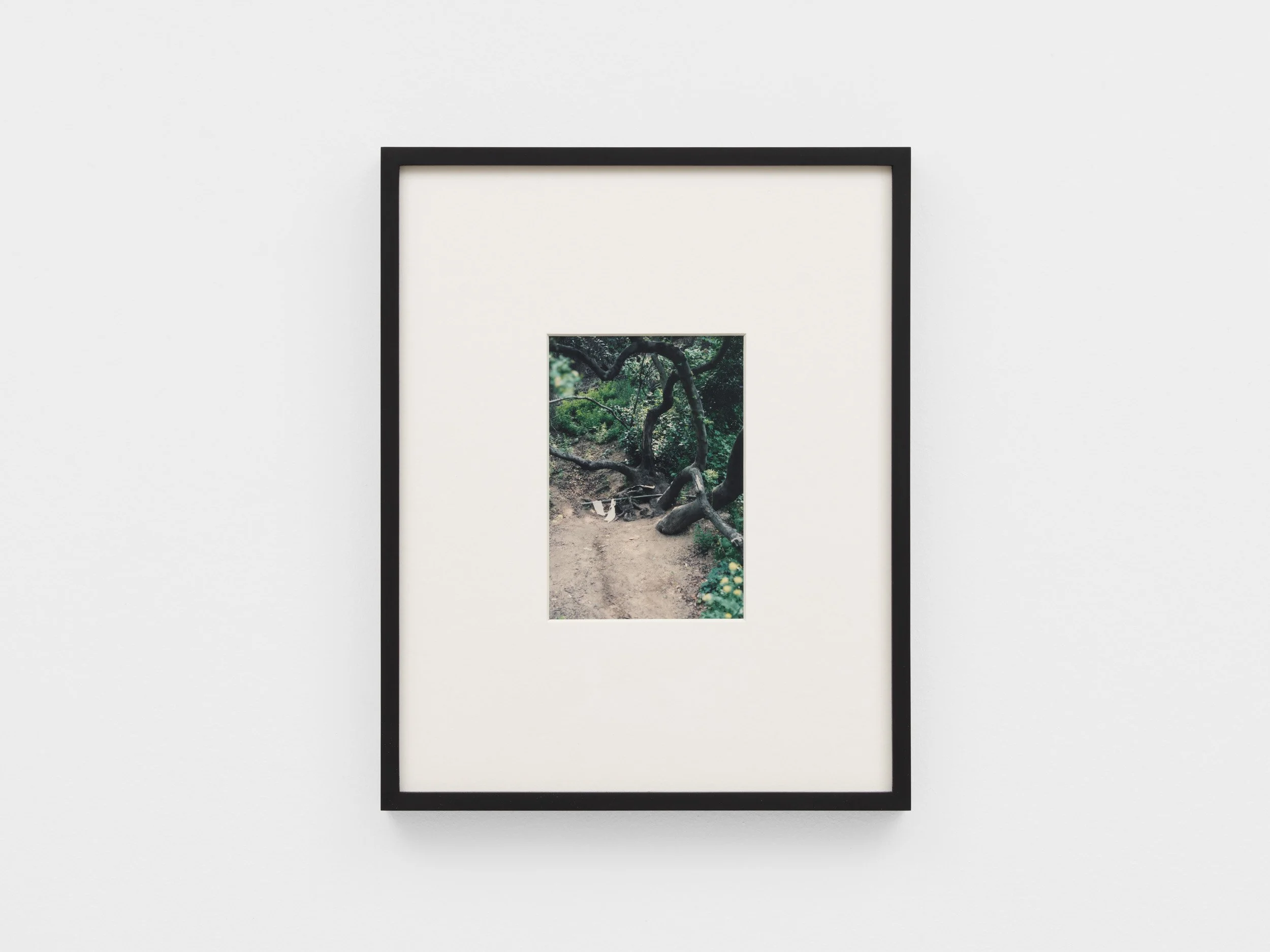 SO_27_03_2026_ 19_web.jpg