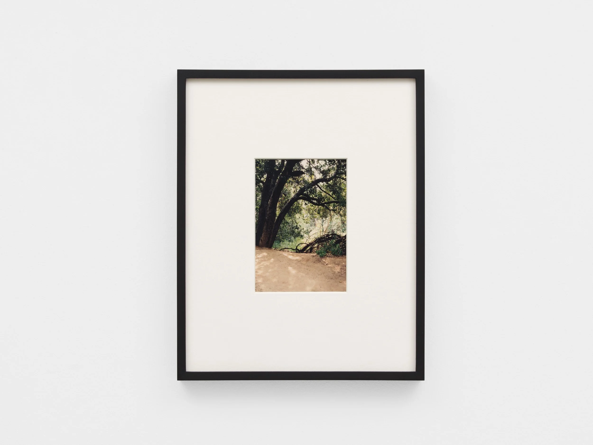 SO_27_03_2026_ 15_web.jpg