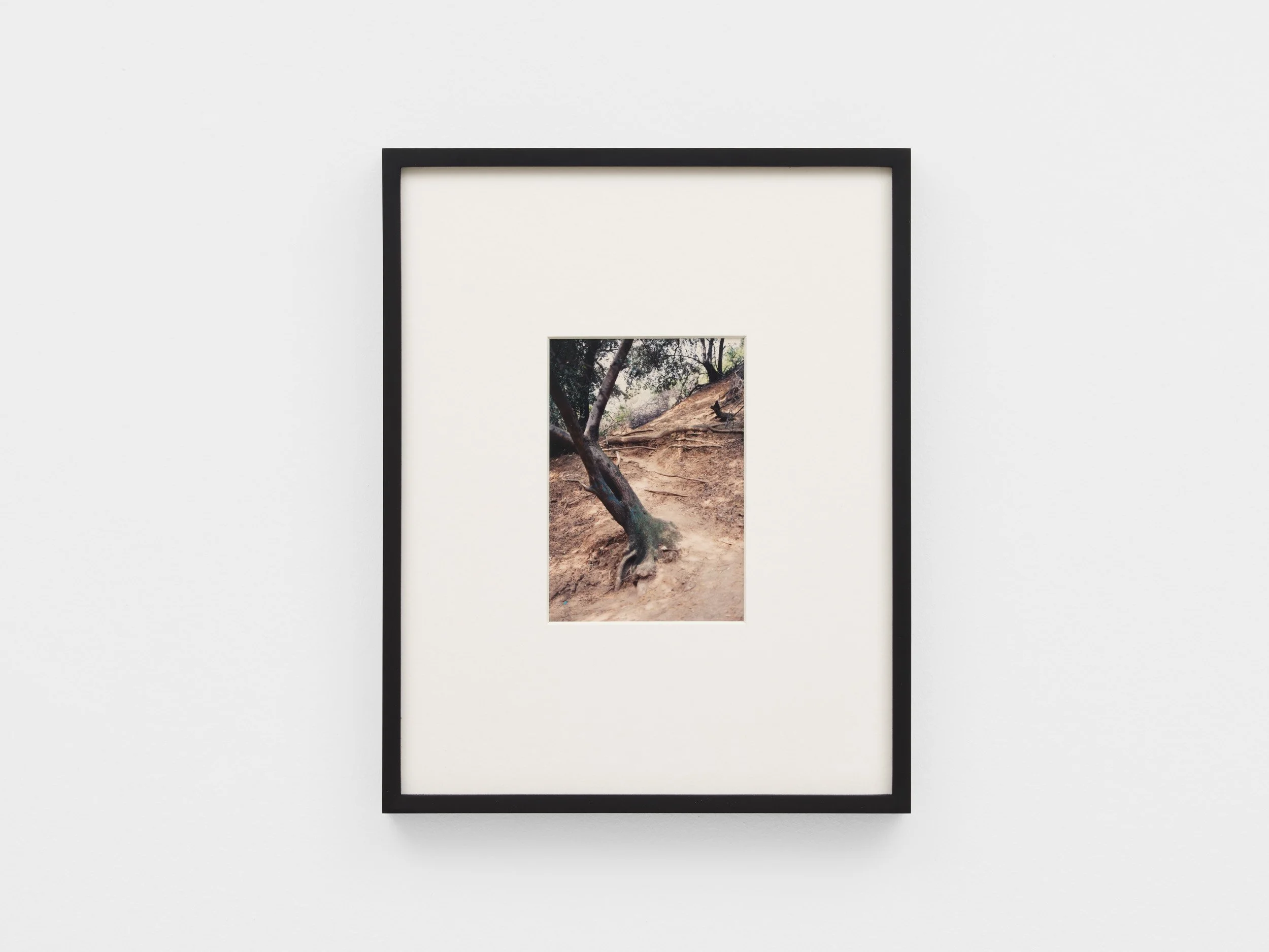 SO_27_03_2026_ 18_web.jpg