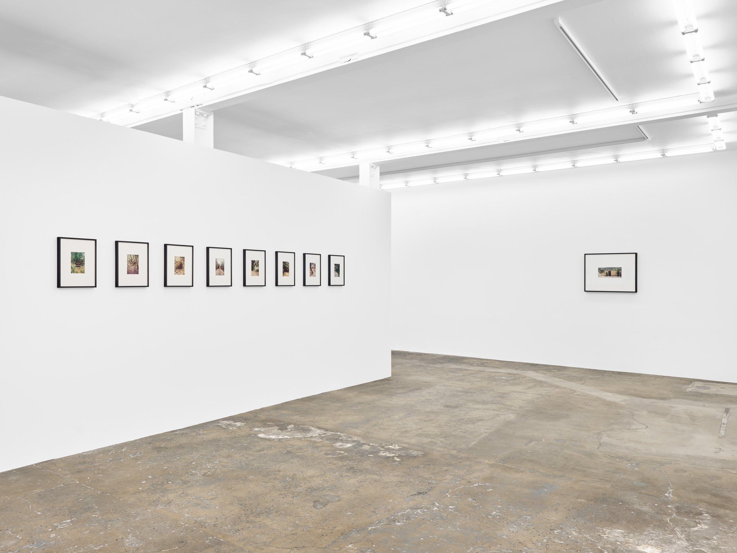 SO_27_03_2026_ 72-Edit_web.jpg