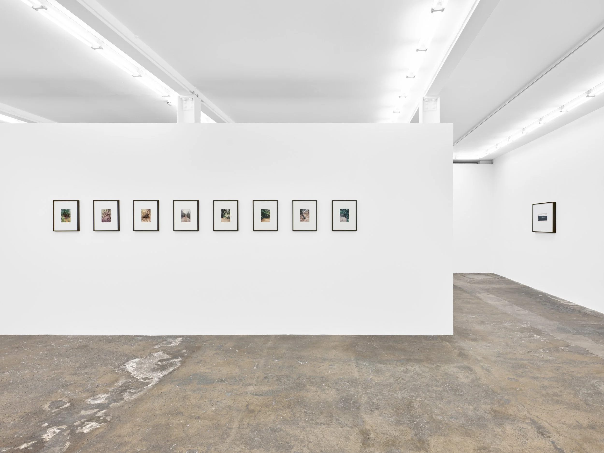 SO_27_03_2026_ 93-Edit_web.jpg