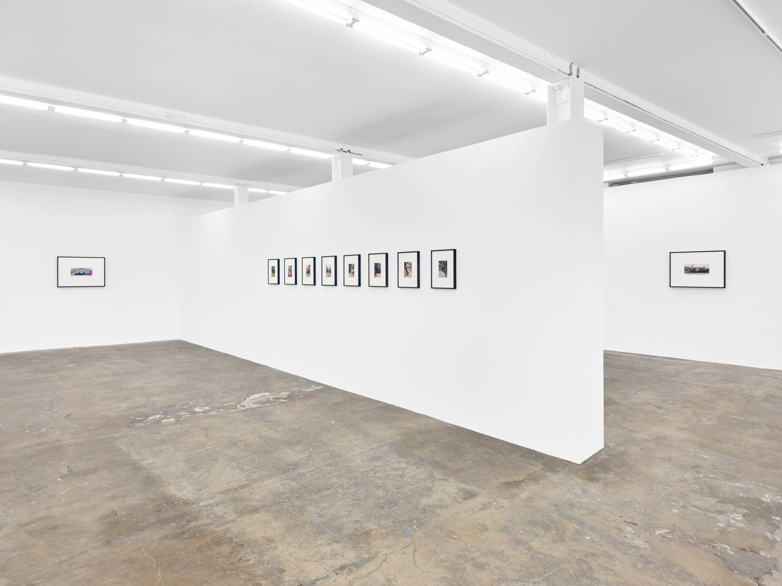 SO_27_03_2026_ 100-Edit_web.jpg