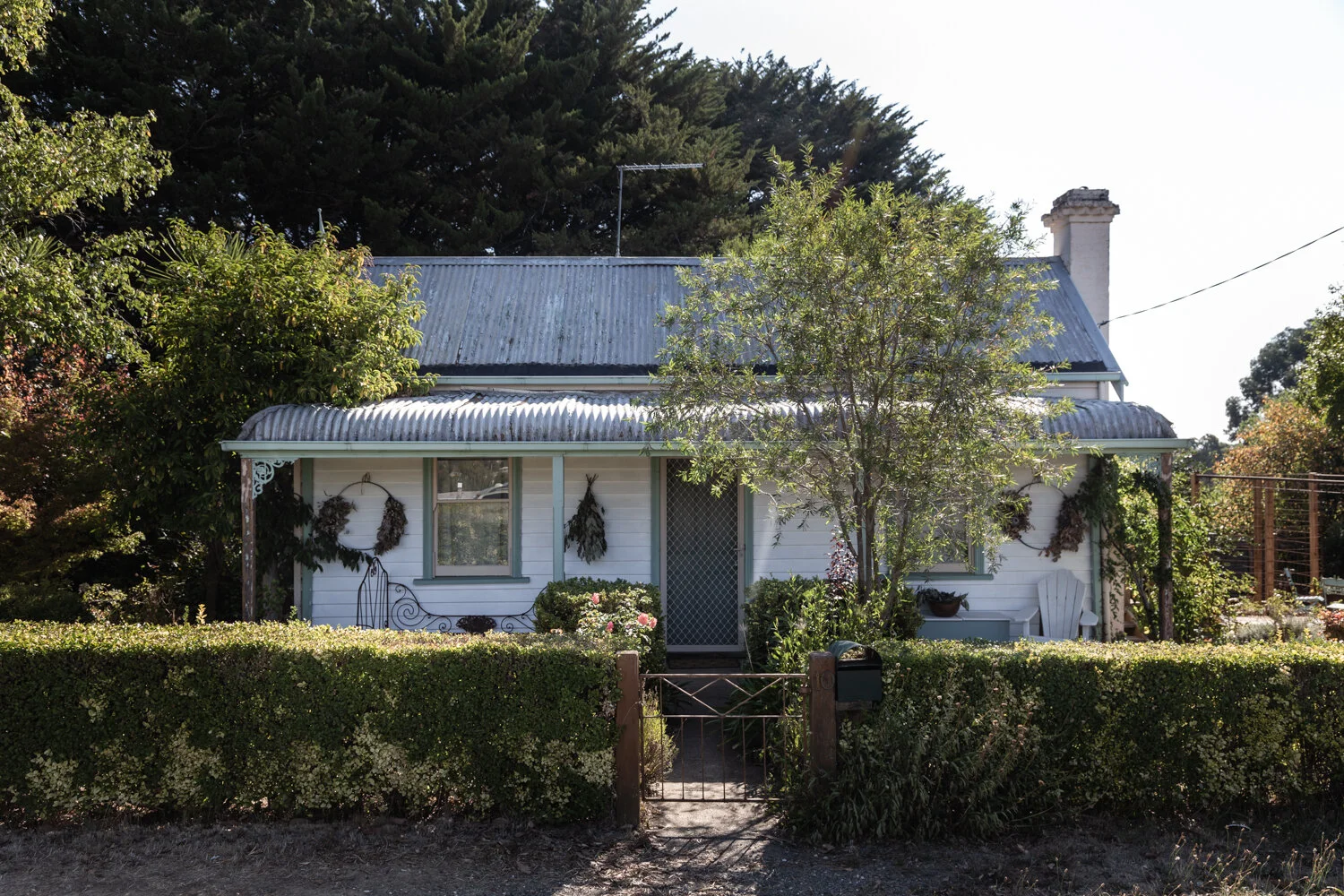 LPapillon Daylesford_09.jpg