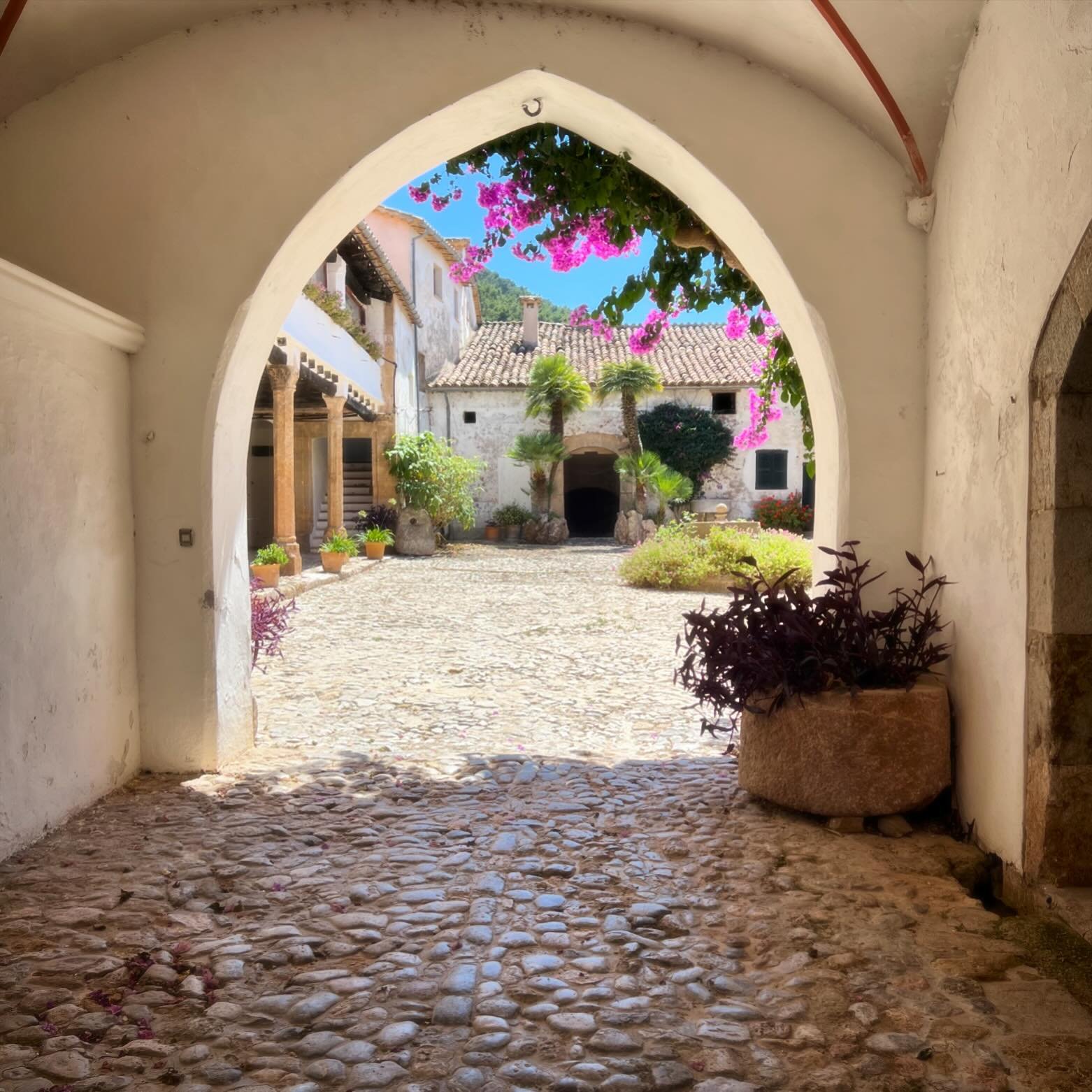 Charlie and I have just returned from our third trip to Mallorca in 3 months&hellip;so clearly something is brewing there! We sense we may be getting closer to being able to announce more regarding our first Sanar&aacute; Mediterranean basecamp and f