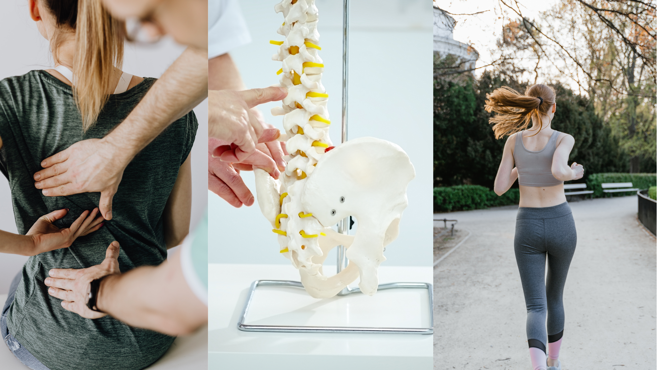 Chilliwack Chiropractor Treatment, Assessment, and Exercise Prescription.