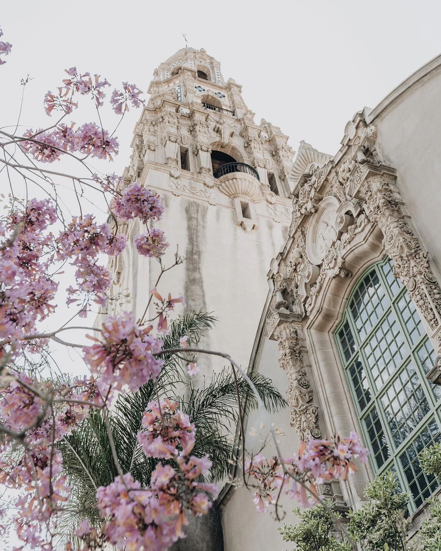 We went for the cherry blossoms 🌸 but missed the peak bloom by a few days. Make sure you do your research on these before you make the trip or you will be disappointed! The @jfgsandiego was a lovely stroll anyway.