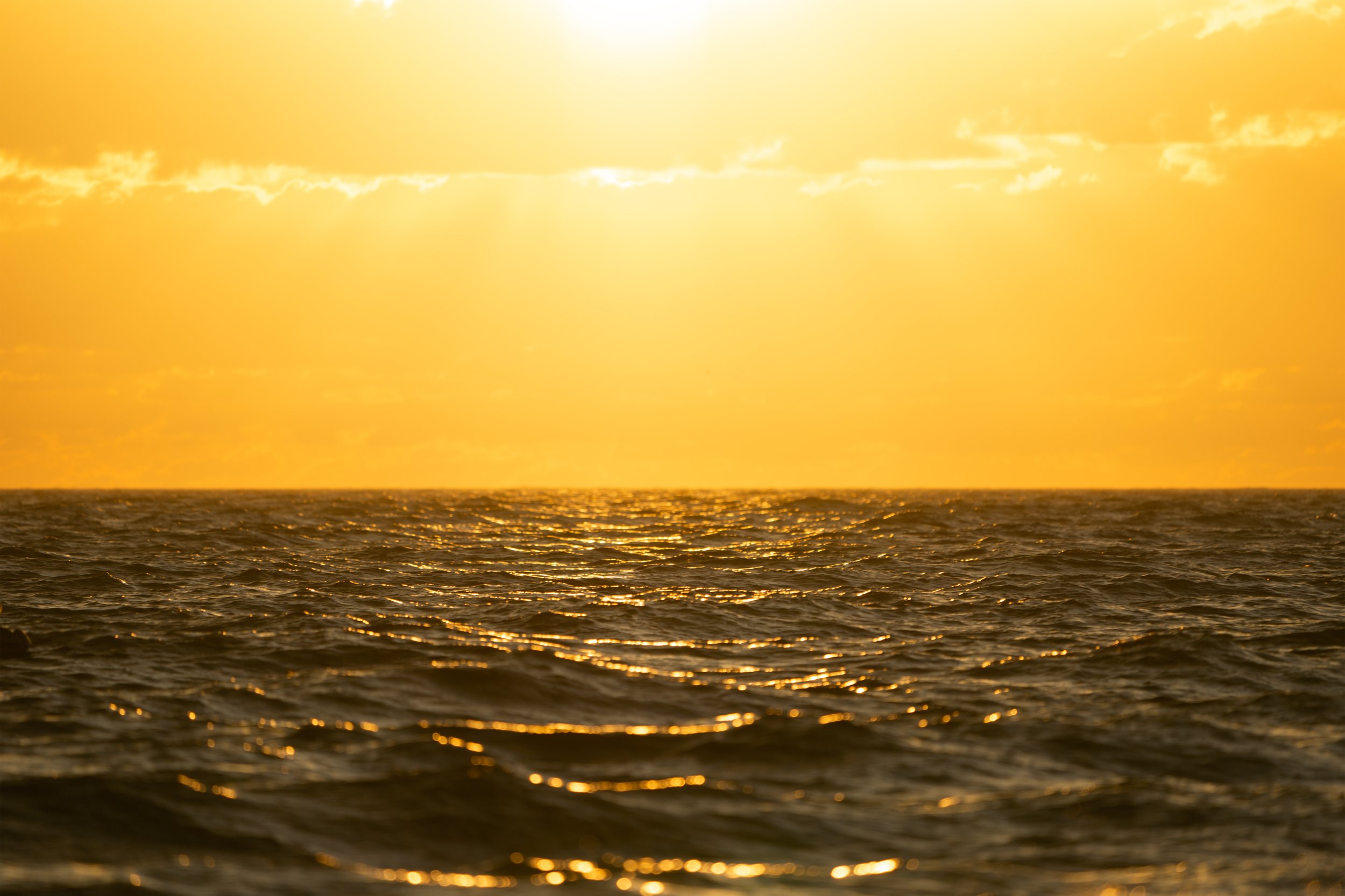 FARAZ PRINT ASAP.jpg