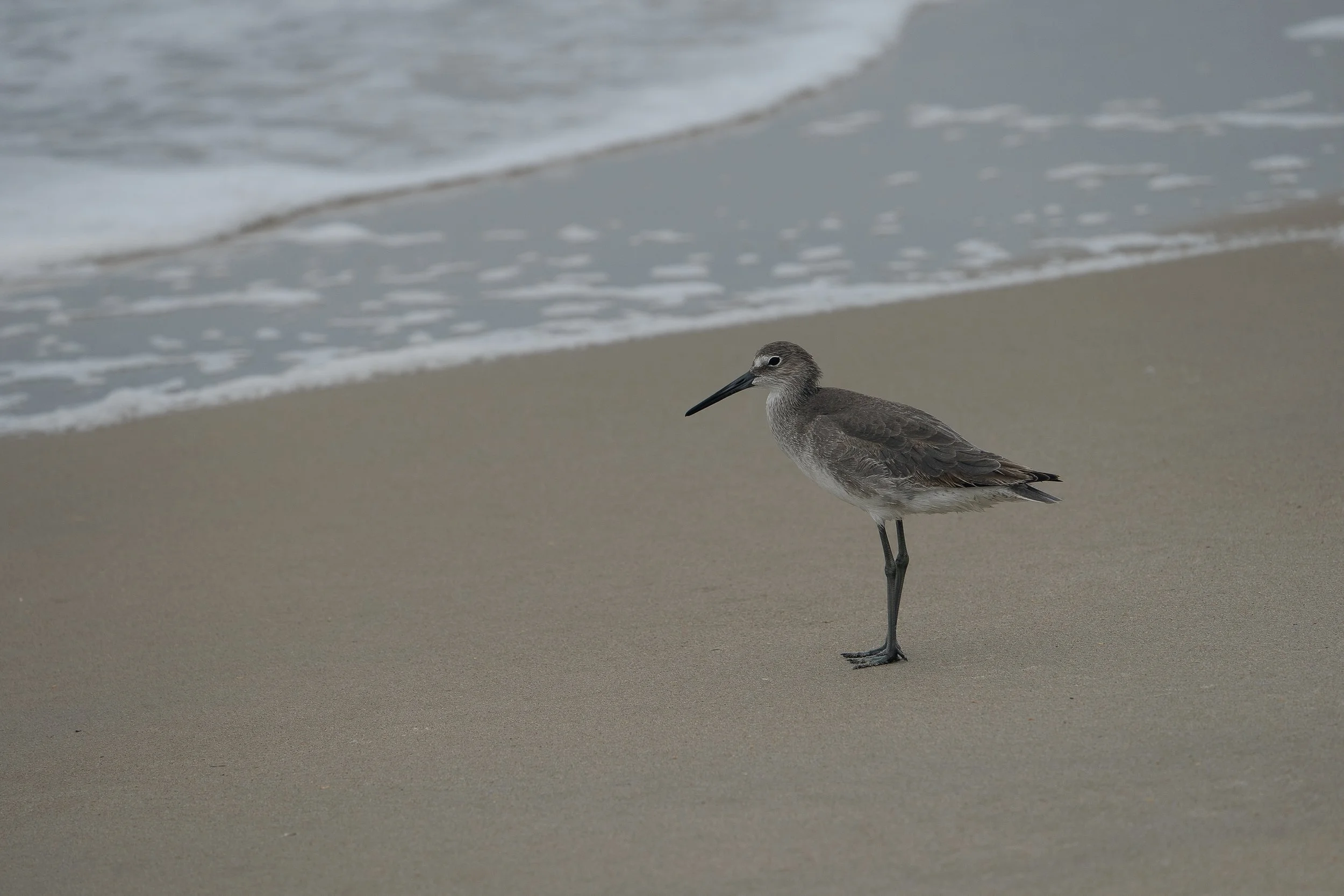 Fishing in a storm3print_stephenson.JPG
