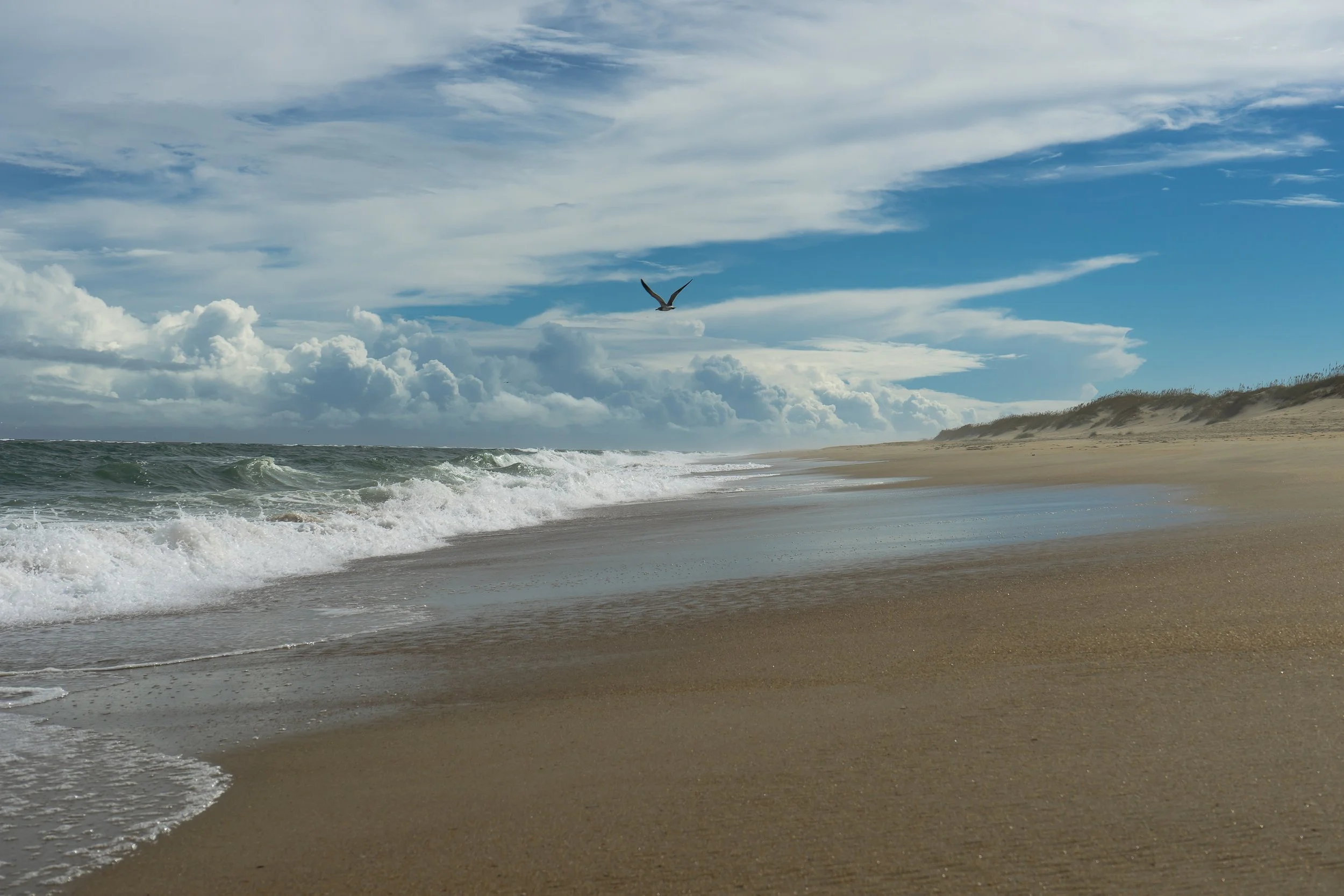 beachsurf12_stephenson 2.JPG