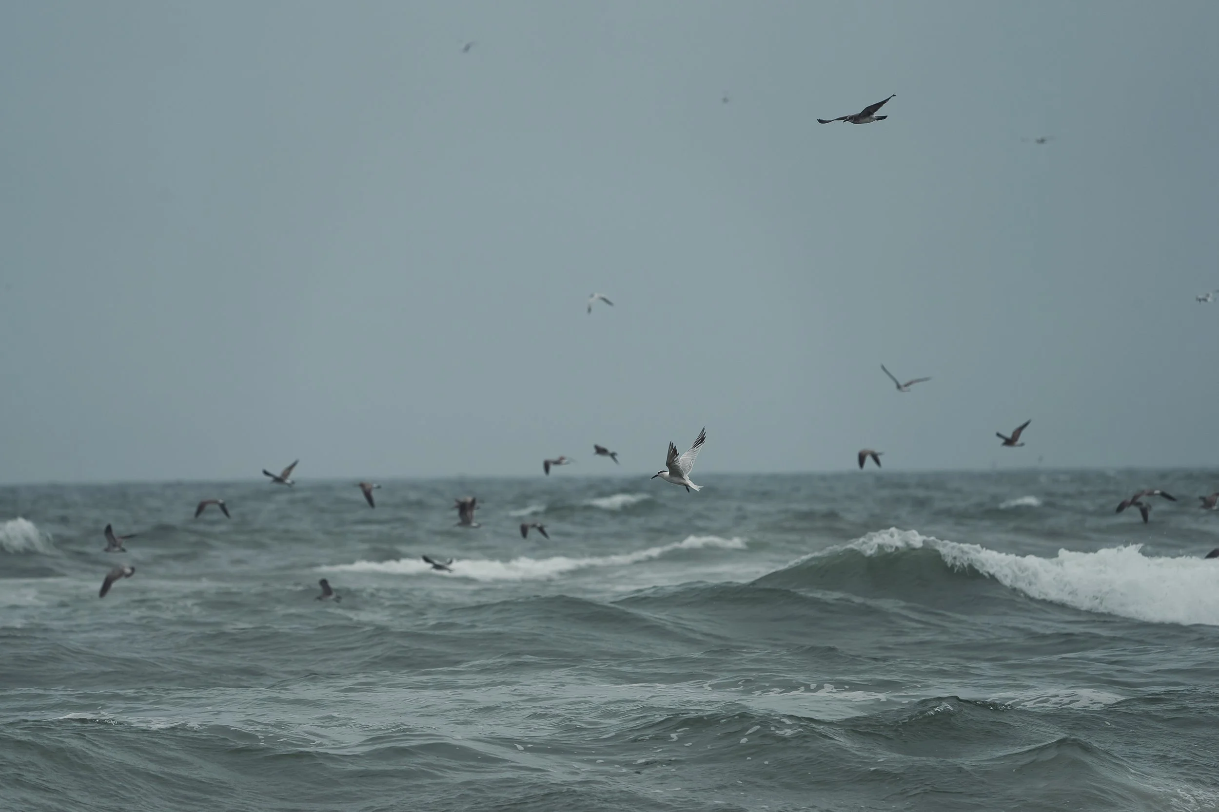 Fishing in a storm6print_stephenson.JPG