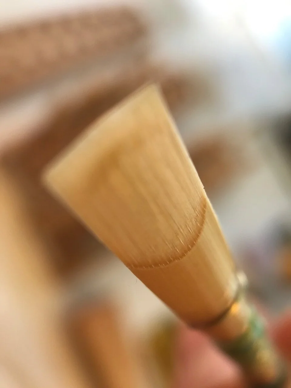 Rad!Reed_tip closeup.jpeg