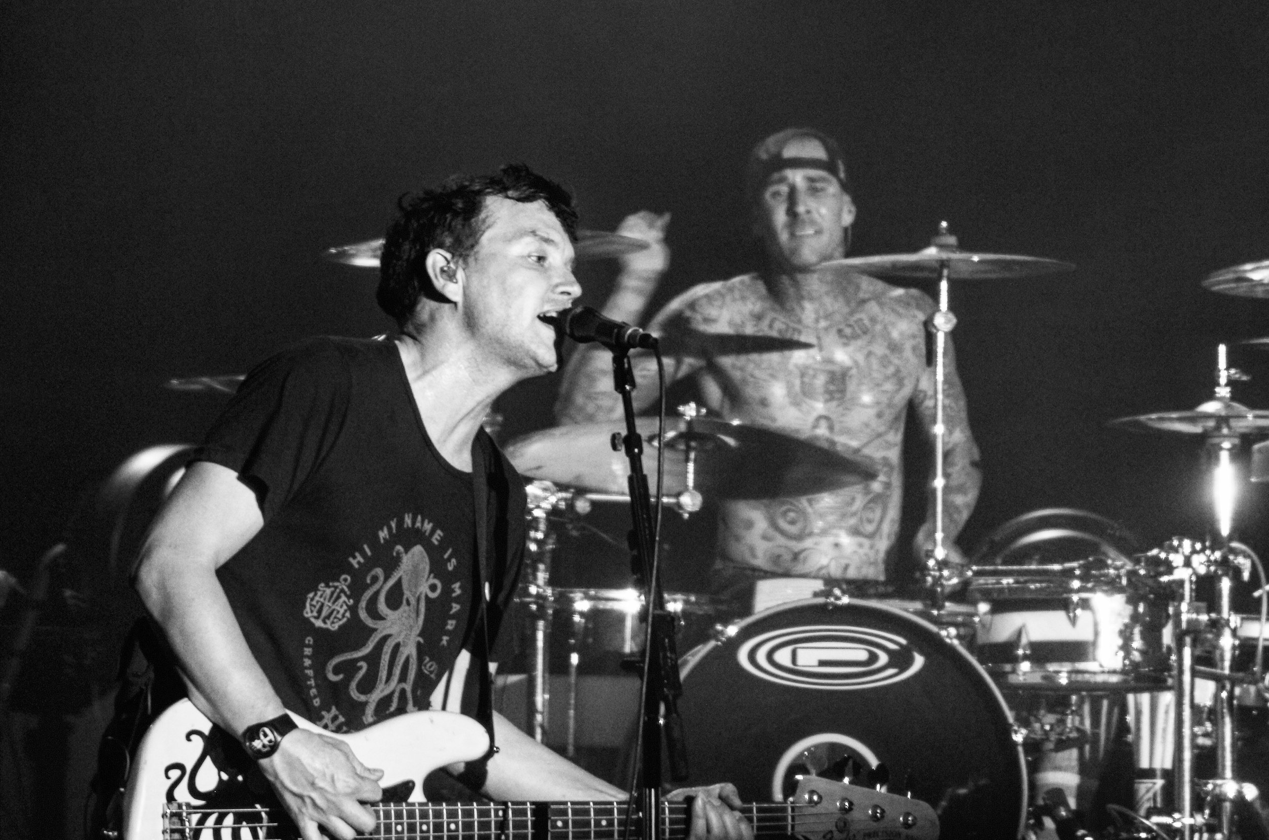 Blink 182, Riot Fest, Denver CO, 2016