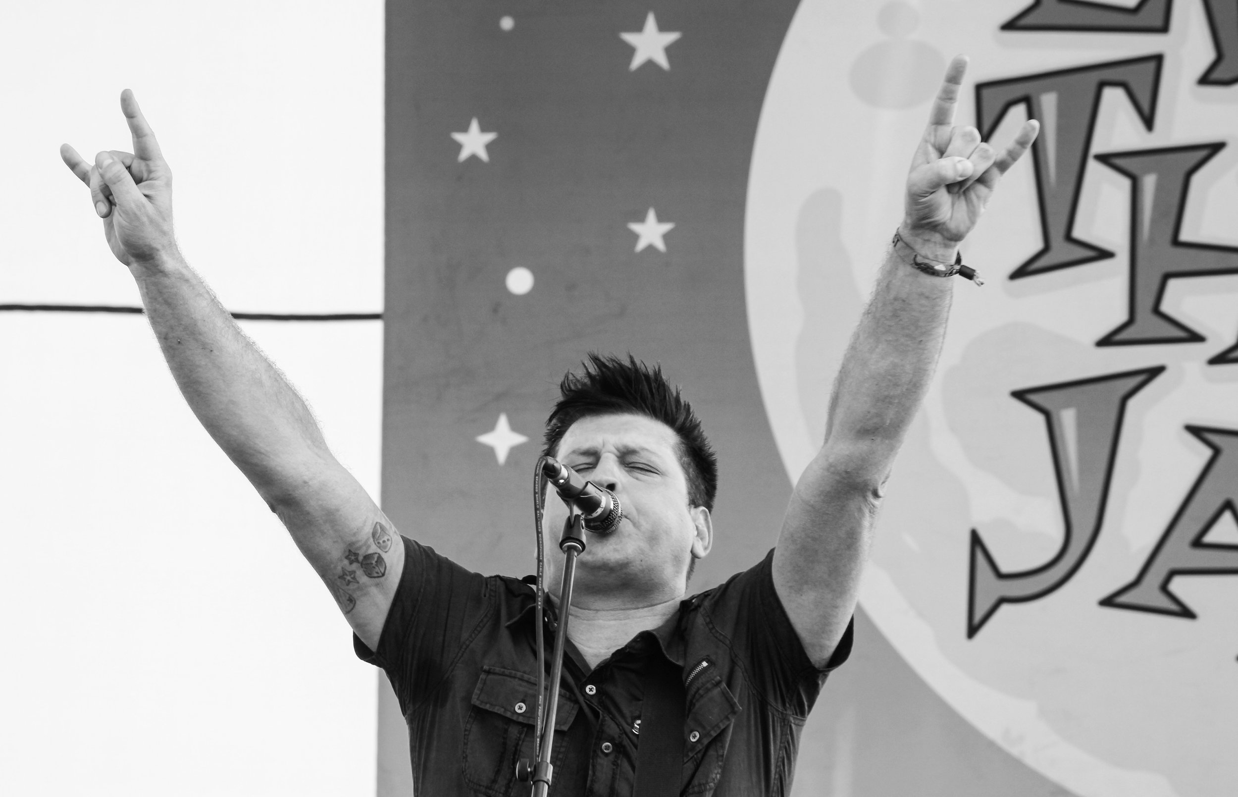 Less Than Jake, Riot Fest, Denver CO, 2013