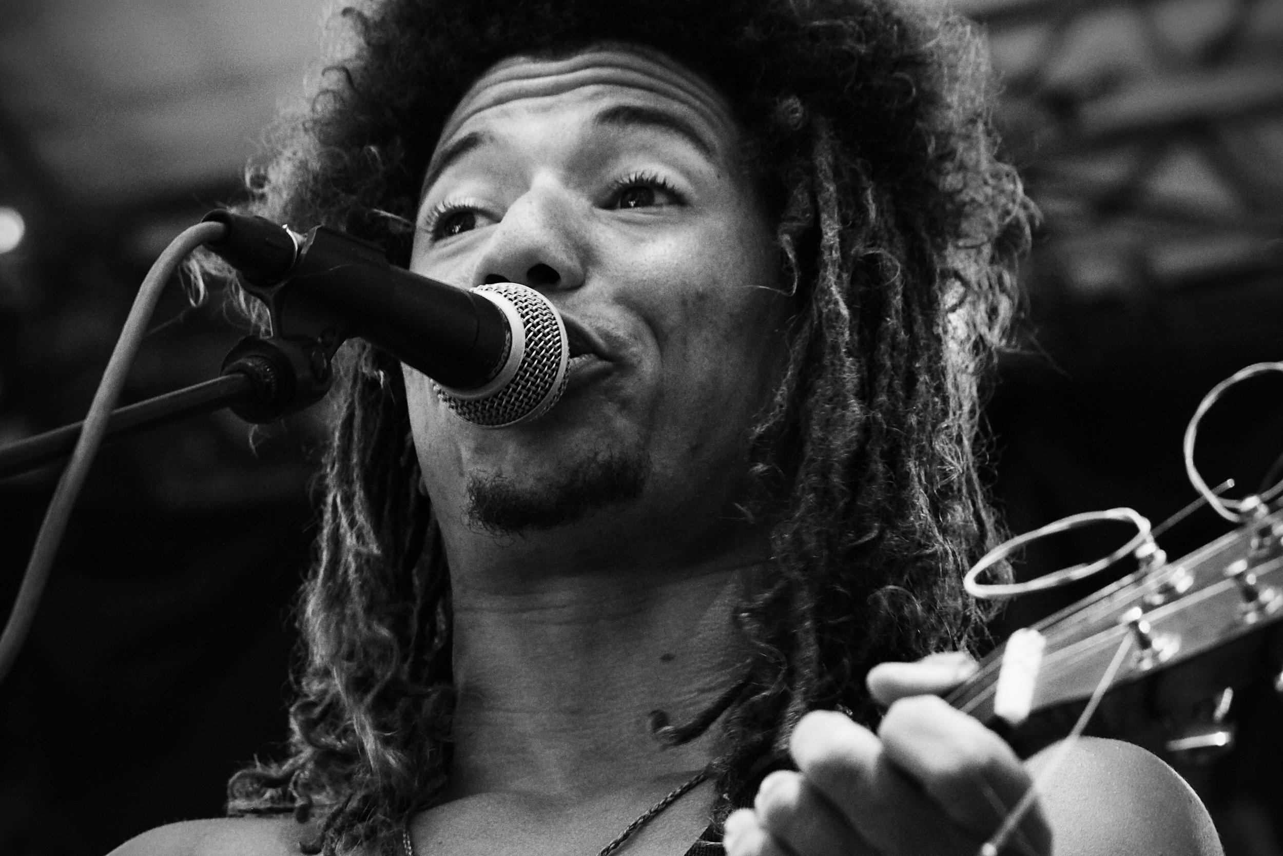Dustin Thomas, Electric Forest, Rothbury MI, 2014