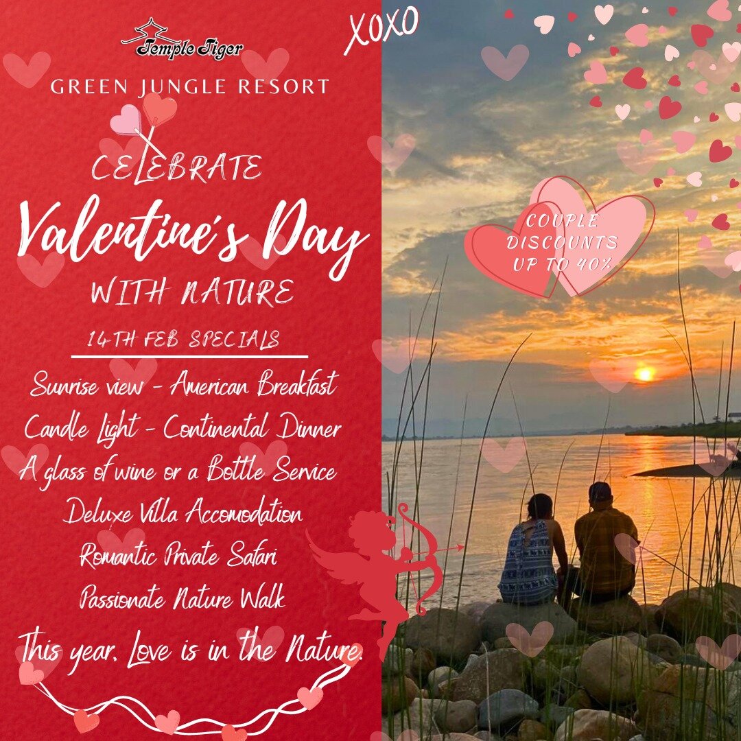 🌿✨ Love is in the Nature at Green Jungle Resort! ✨🌿

Escape to a romantic haven this Valentine's Day with our enchanting special package! 🌹🍃

🎁 **Valentine Special Package: Couple Discounts Up to 40%**
 
Indulge in the perfect romantic getaway w