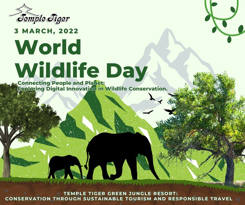 🌿🐅 Temple Tiger Green Jungle Resort 🐅🌿

Happy World Wildlife Day 2024! 🌍 Today, as we celebrate the theme of &quot;Connecting People and Planet: Exploring Digital Innovation in Wildlife Conservation,&quot; Temple Tiger Green Jungle Resort is pro
