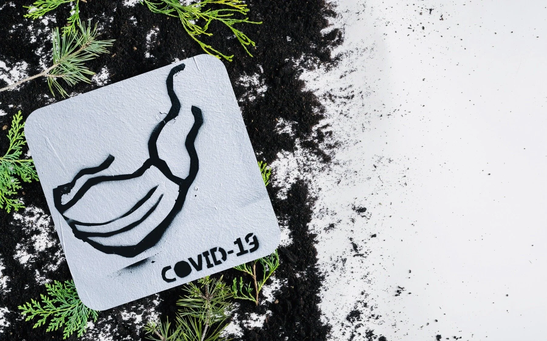 What we can learn from CoVID-19 in the fight against Climate Change