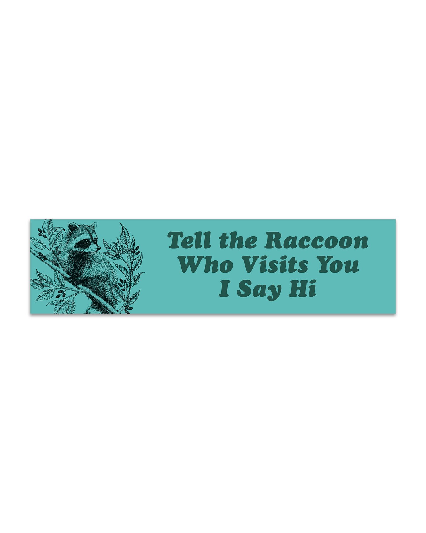 NEW! Raccoon Bumper Sticker
