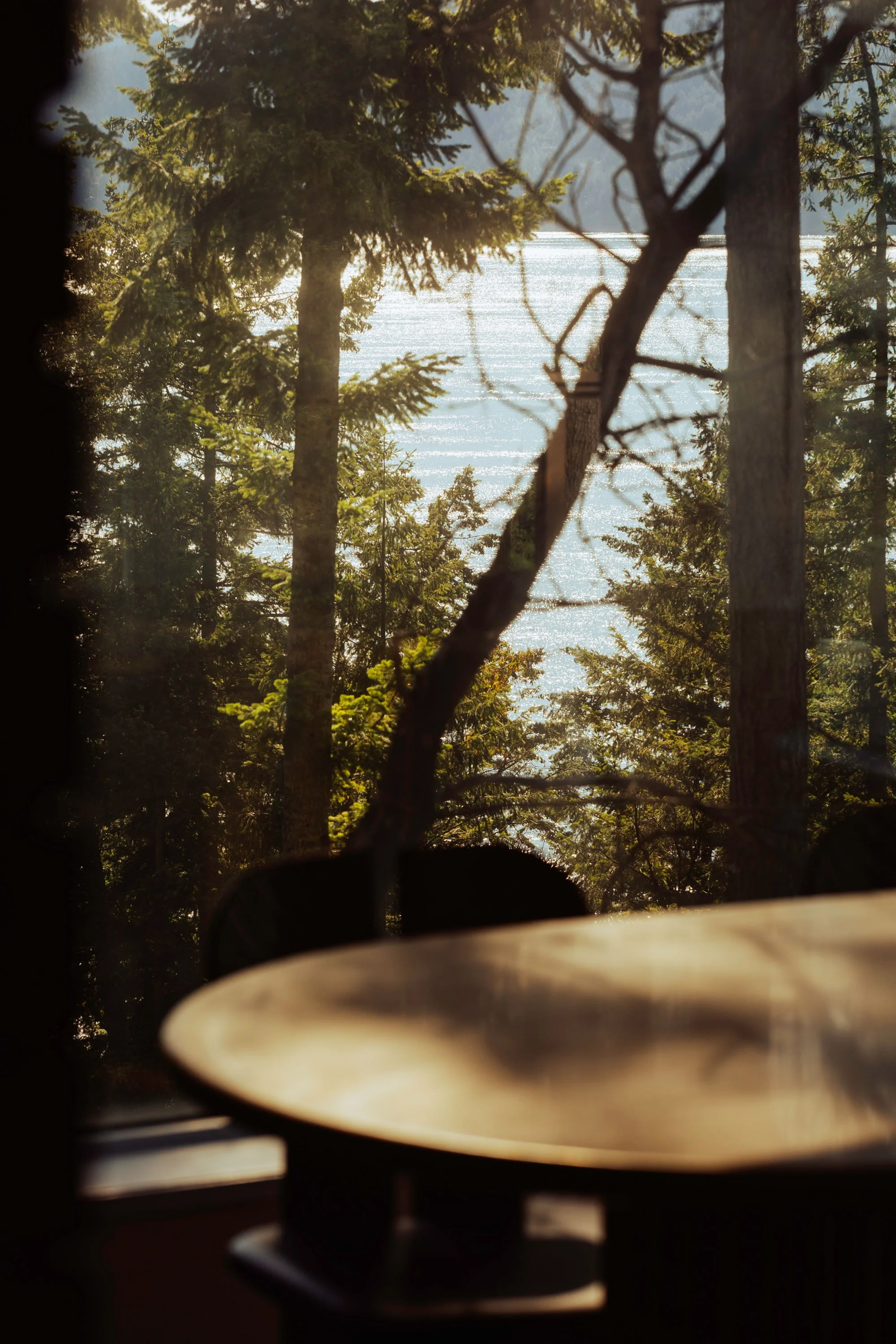 IMG_9886-copy.jpg