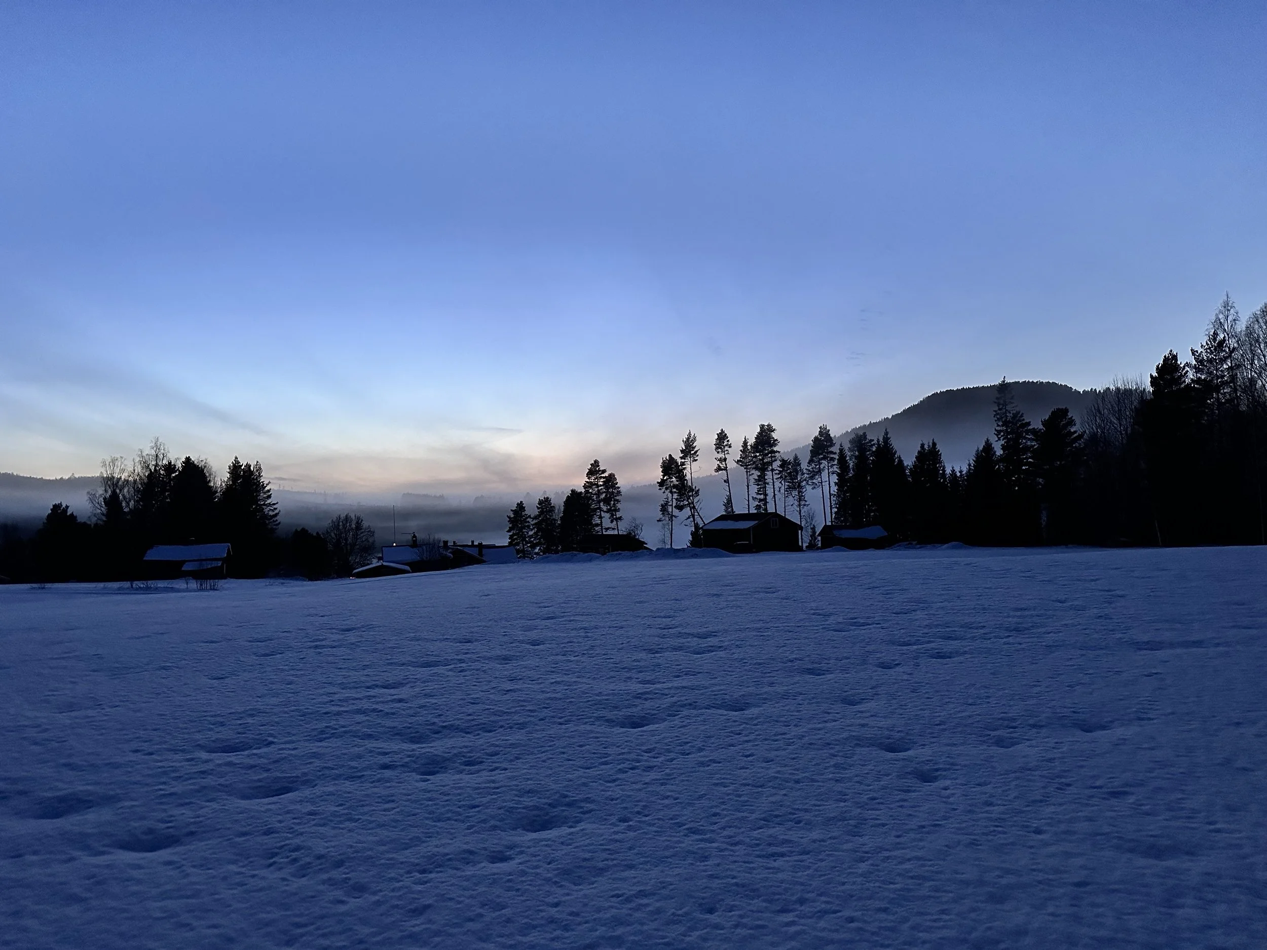 Låt inte rädslan ta över när Trump är flippar! 