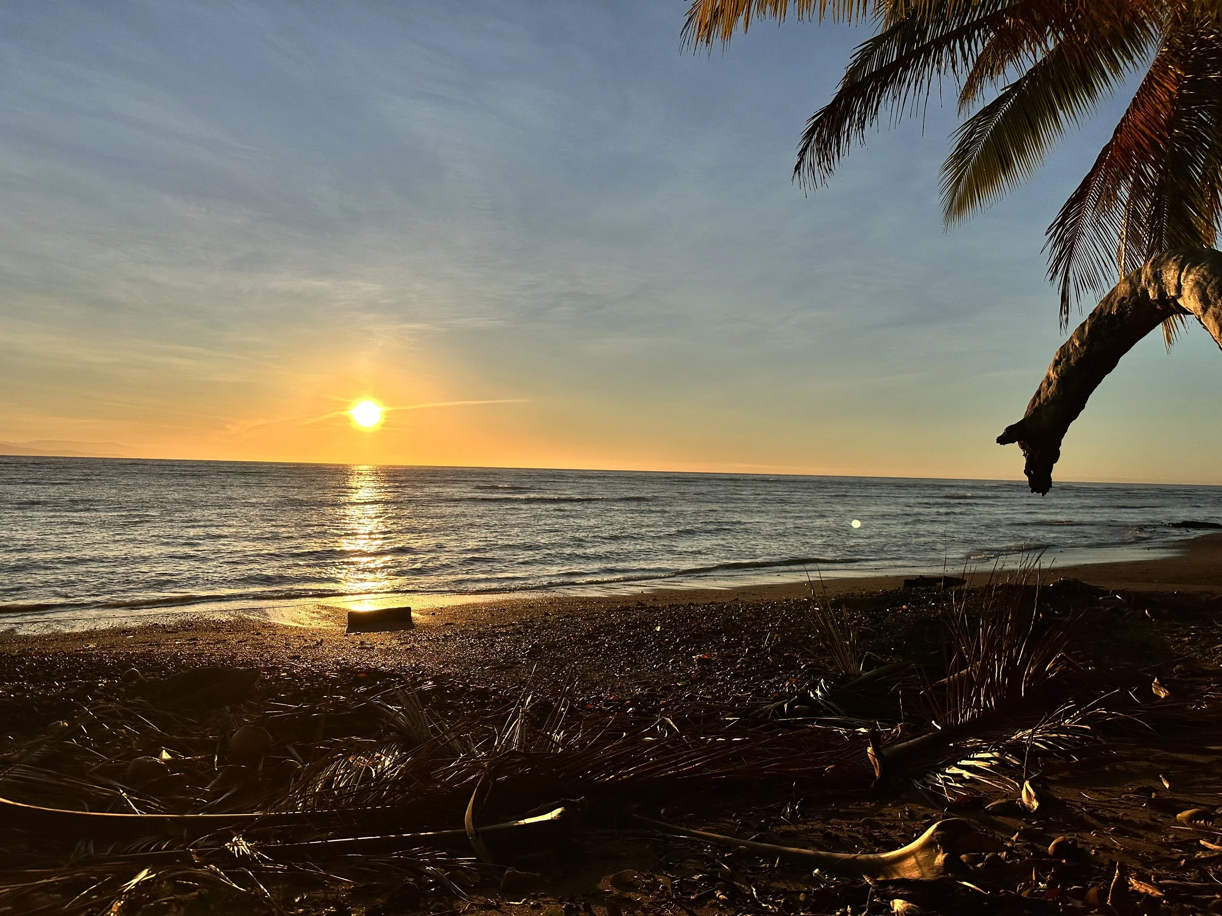 En överraskning kom min väg. 