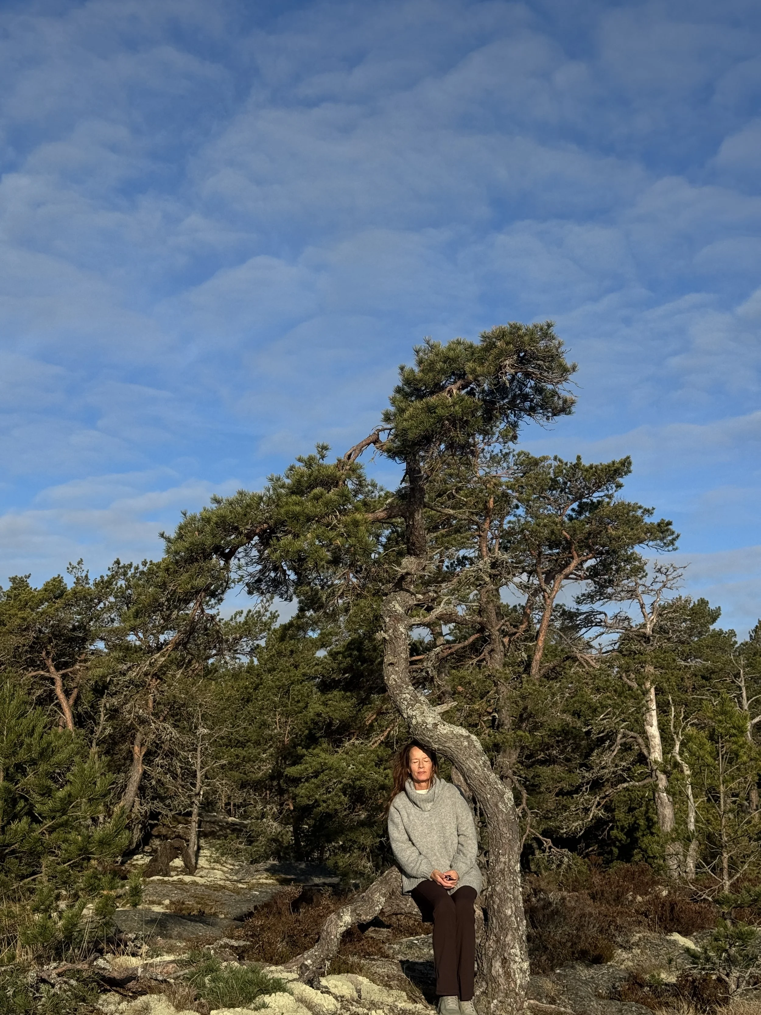 Försurad eller inte