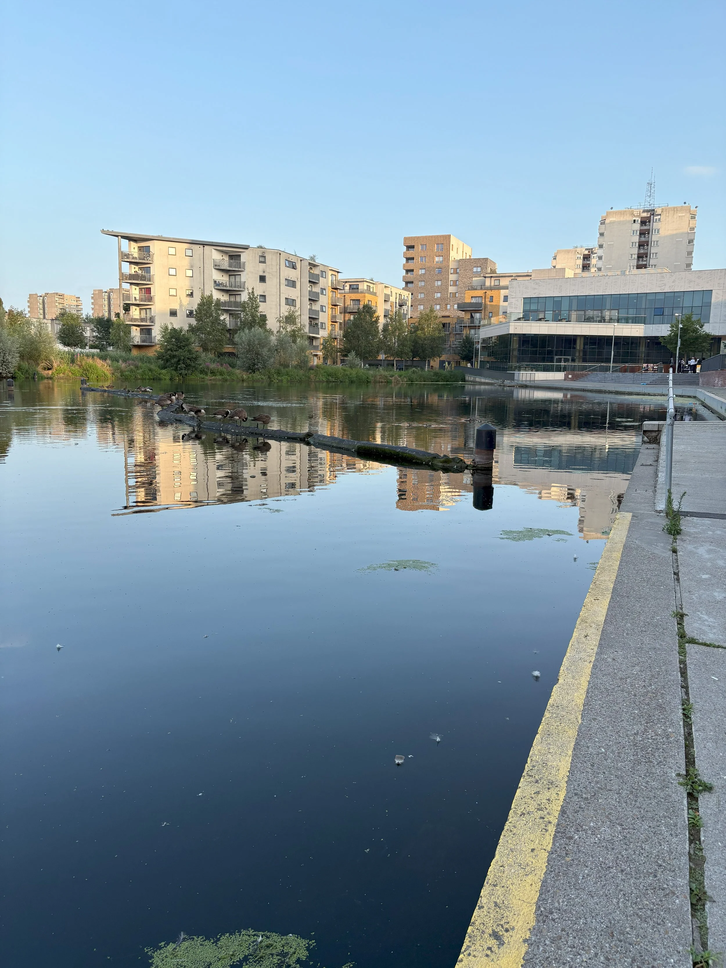 Southmere lake.jpeg