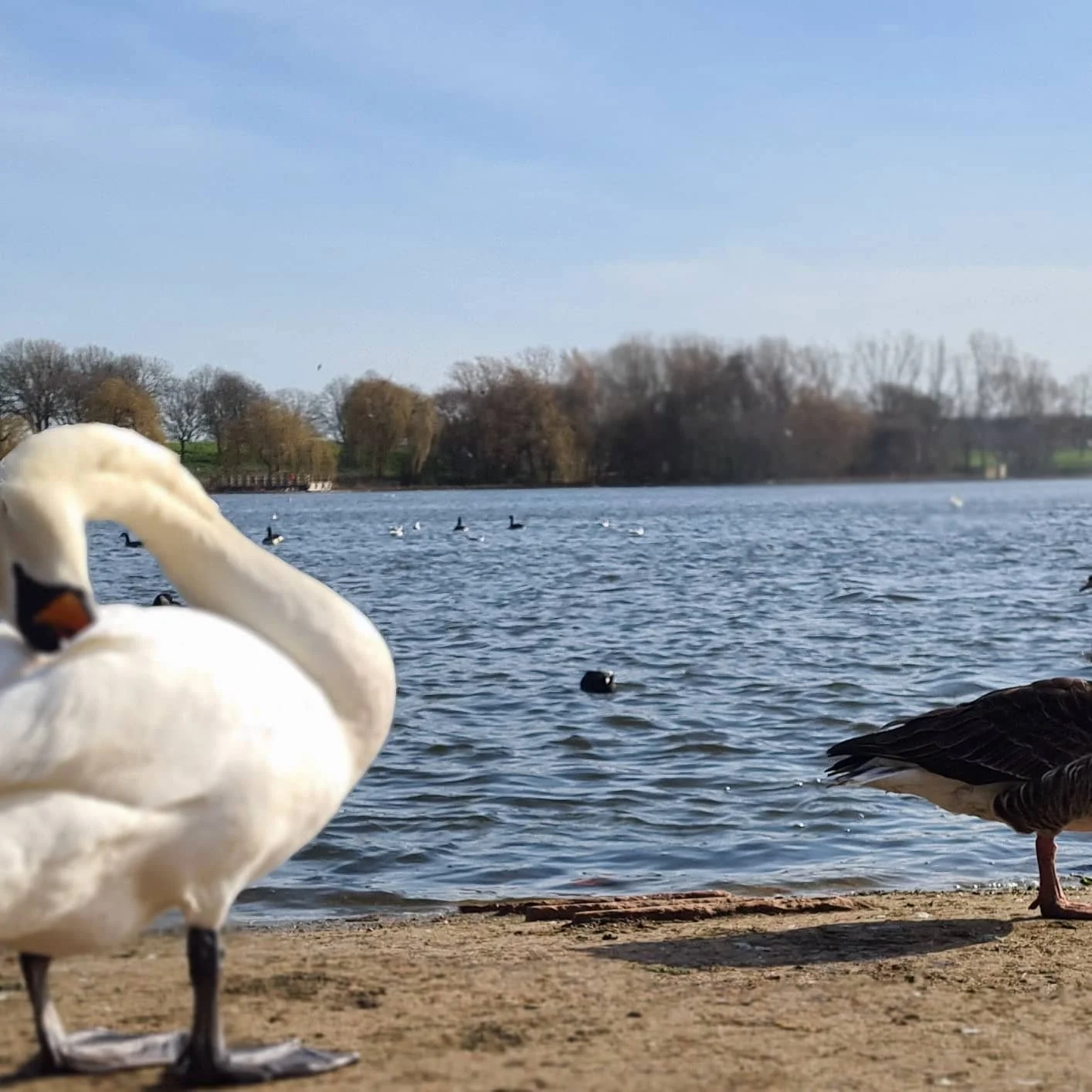 Wildlife & Nature in Thamesmead