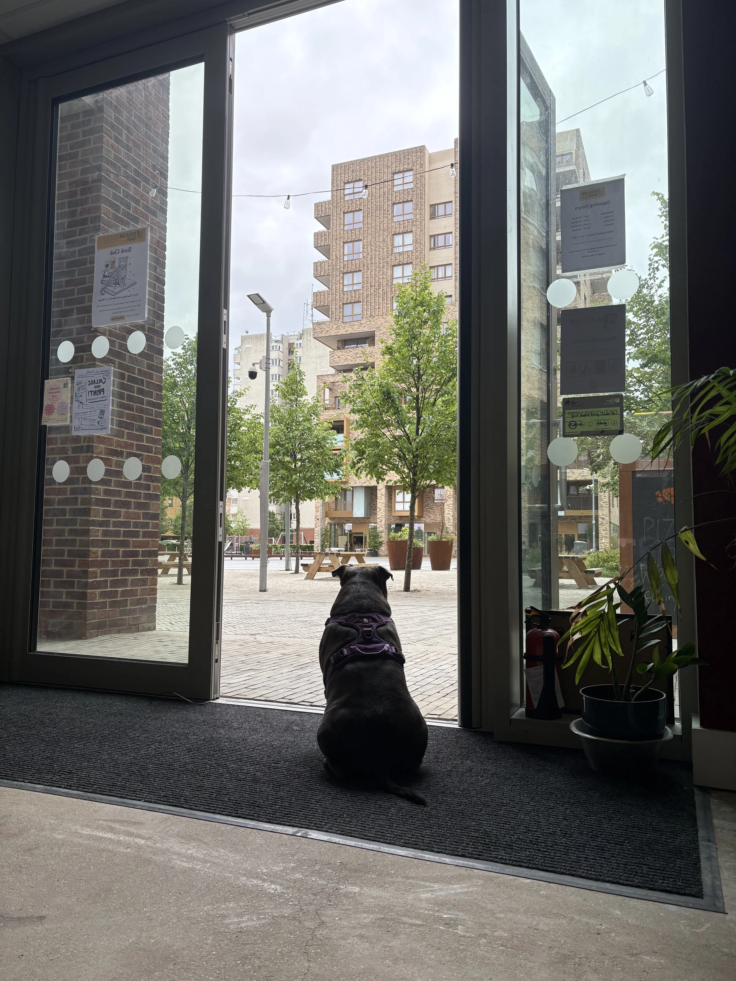 IMG_1617.jpeg
