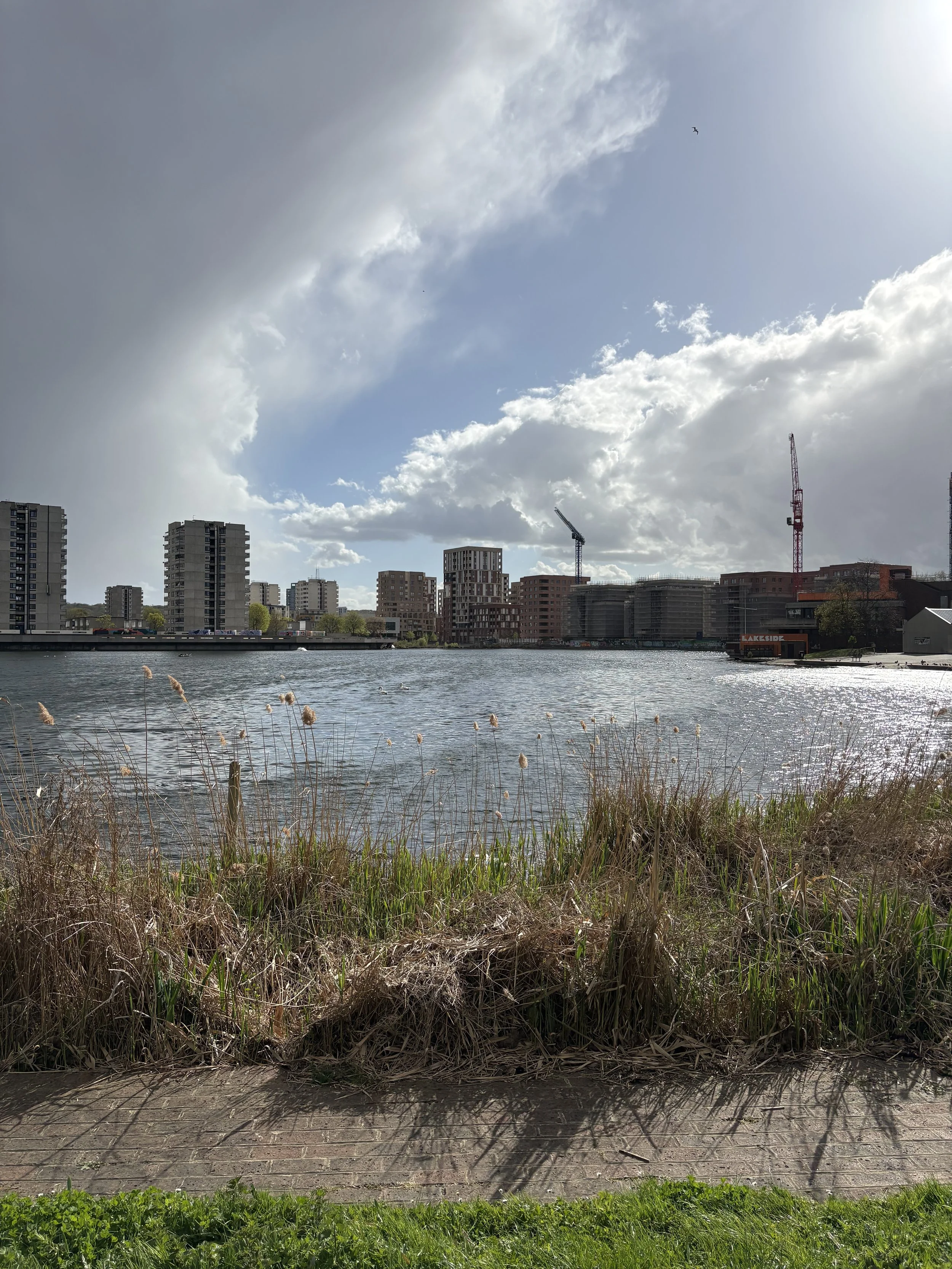 IMG_1149.jpeg