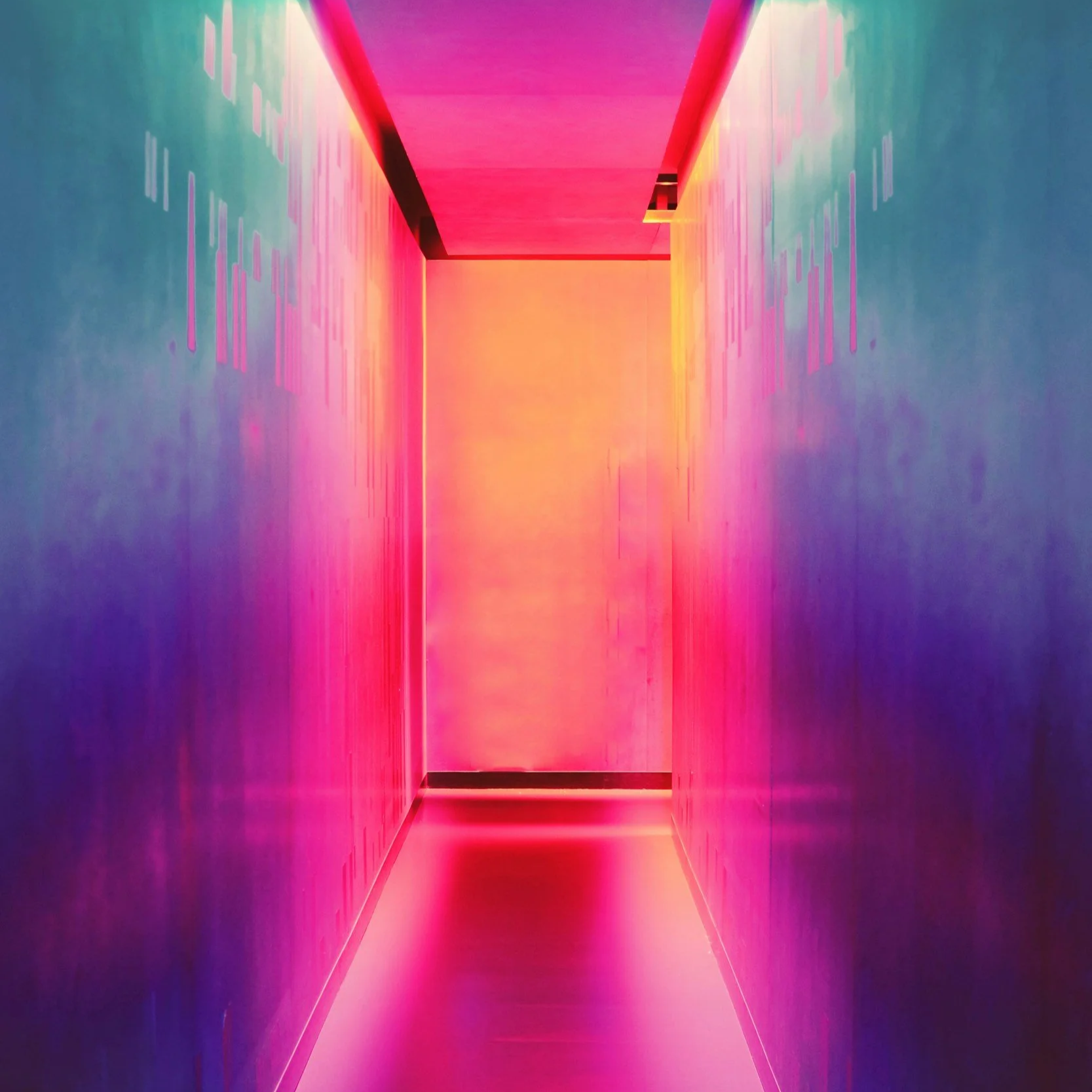 image-asset.png