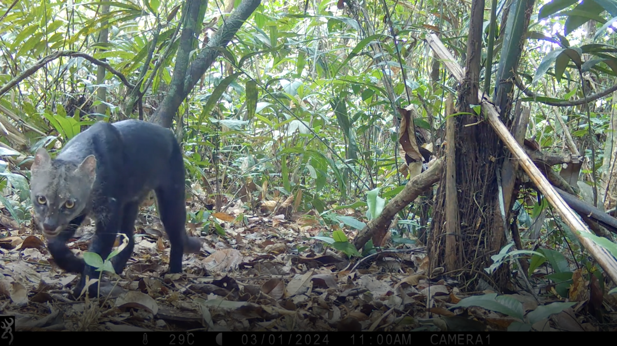 Related Video Item Thumbnail