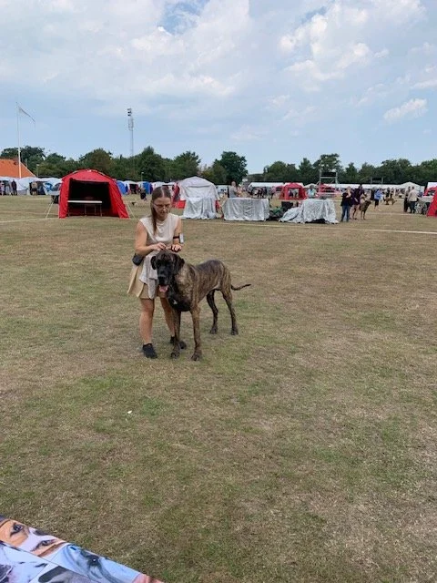image4.jpeg
