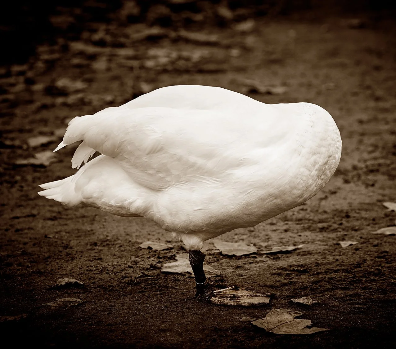 _22A0091 2.jpg