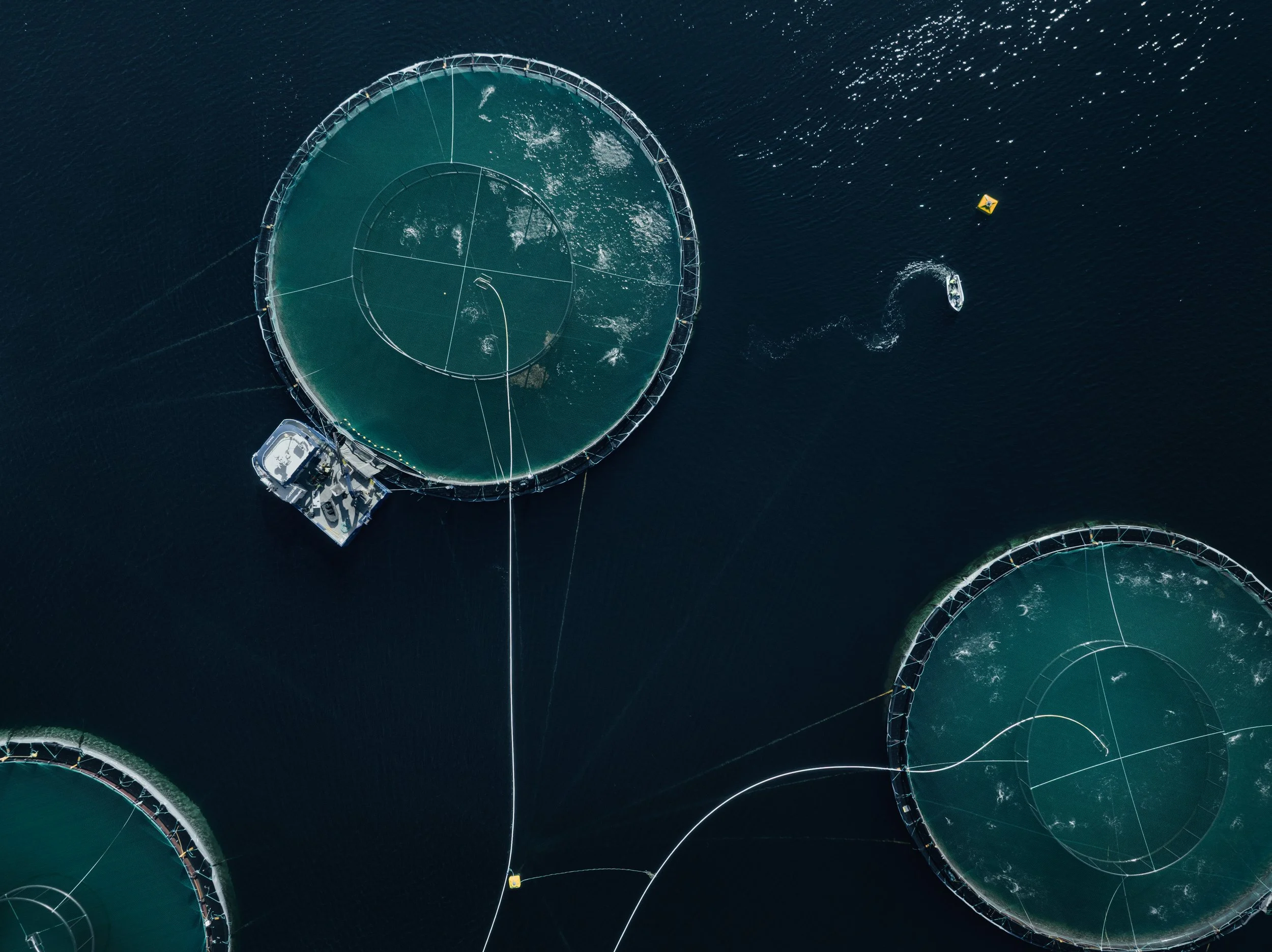 ELDI25A_NORWAY_DJI_0609_1313.jpg