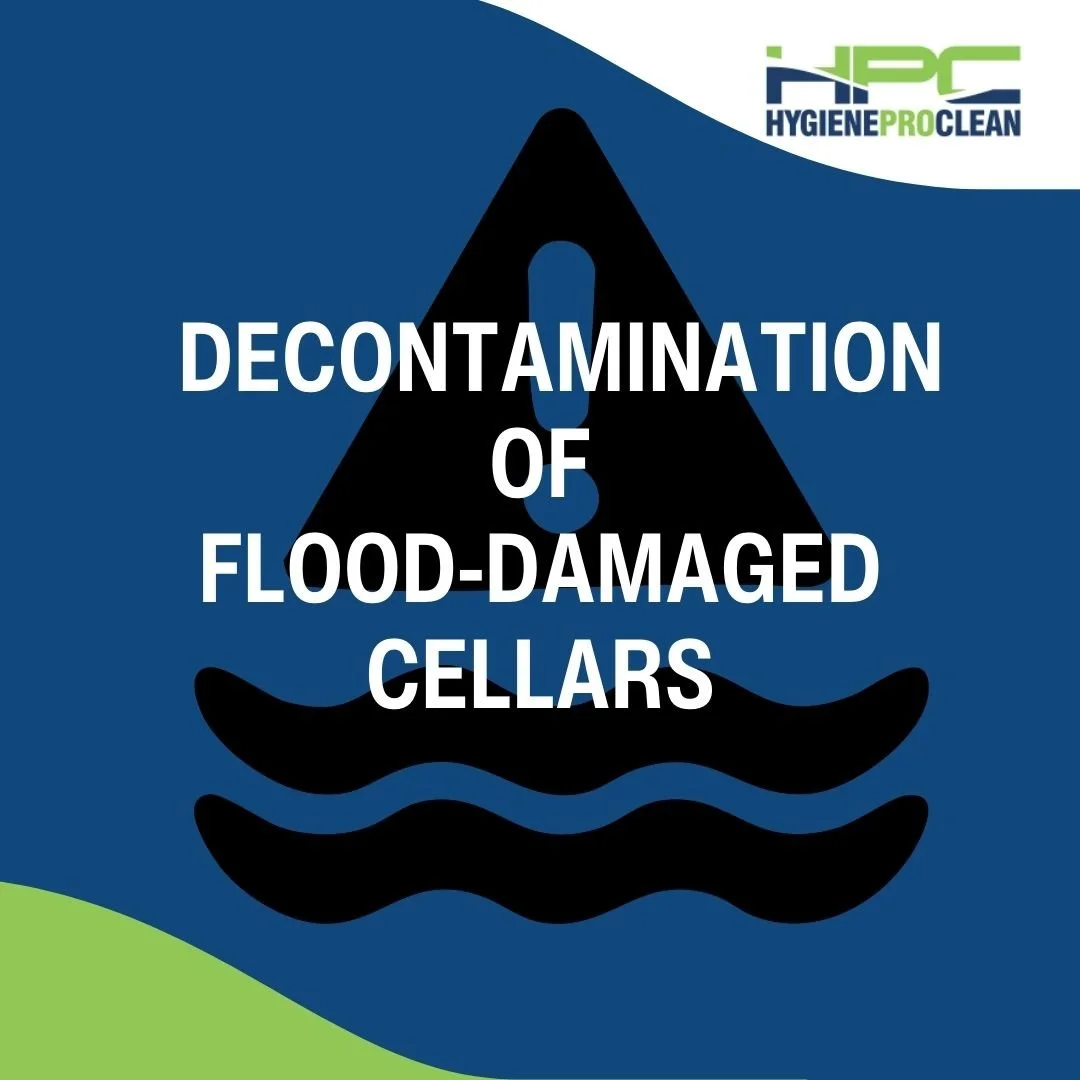 Restore Your Flood-Damaged Cellar with Hygiene Pro Clean — Hygiene Pro ...