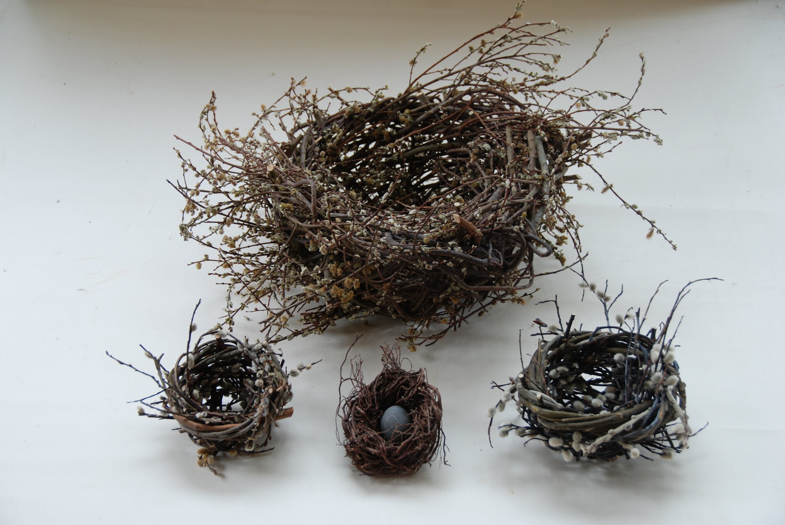 012 nest group, catkinned willow and small heather nest.JPG
