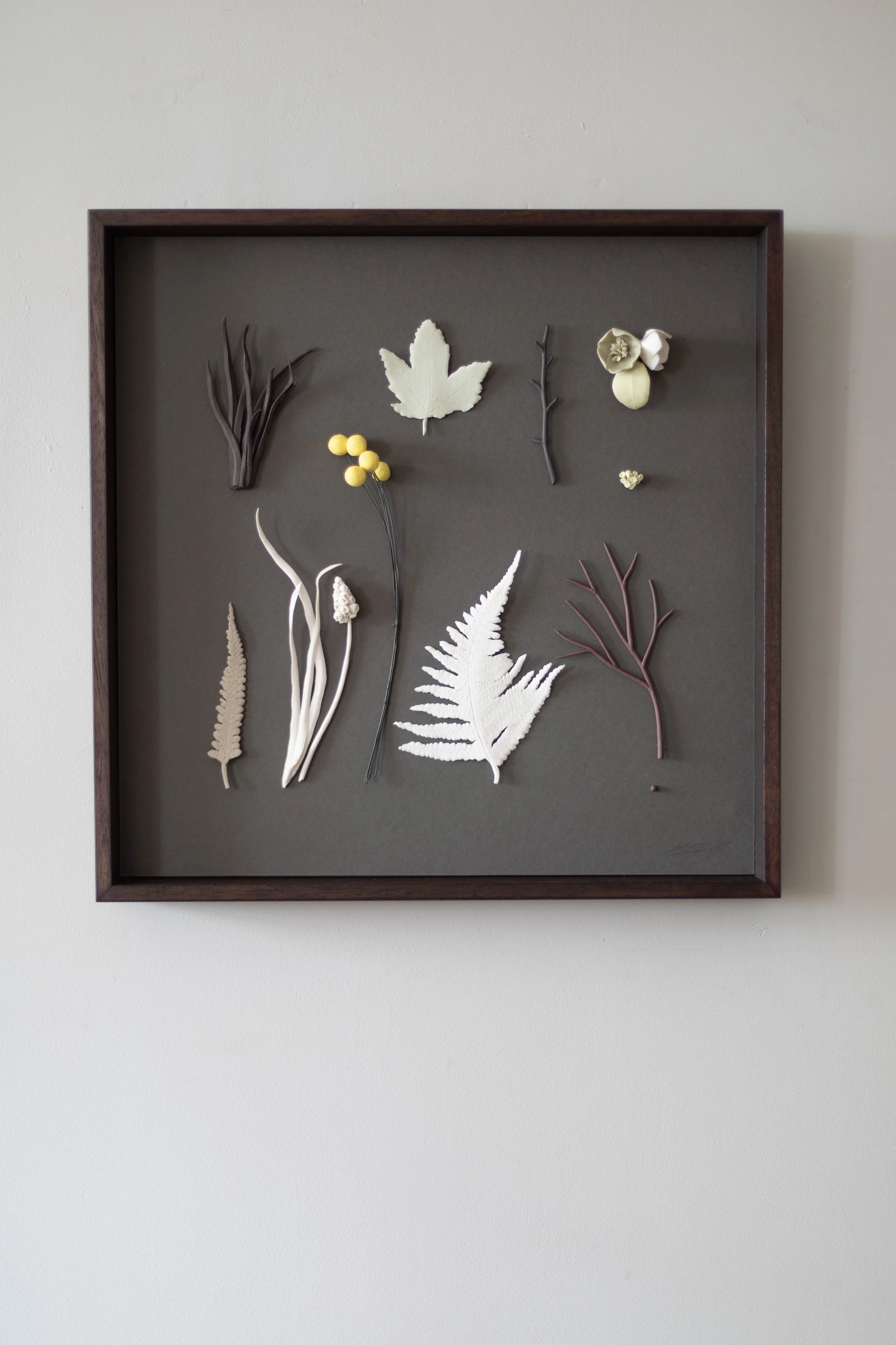 April 2024 Herbarium Hellebore Elaine 2Sheppard Bolt-304.jpg