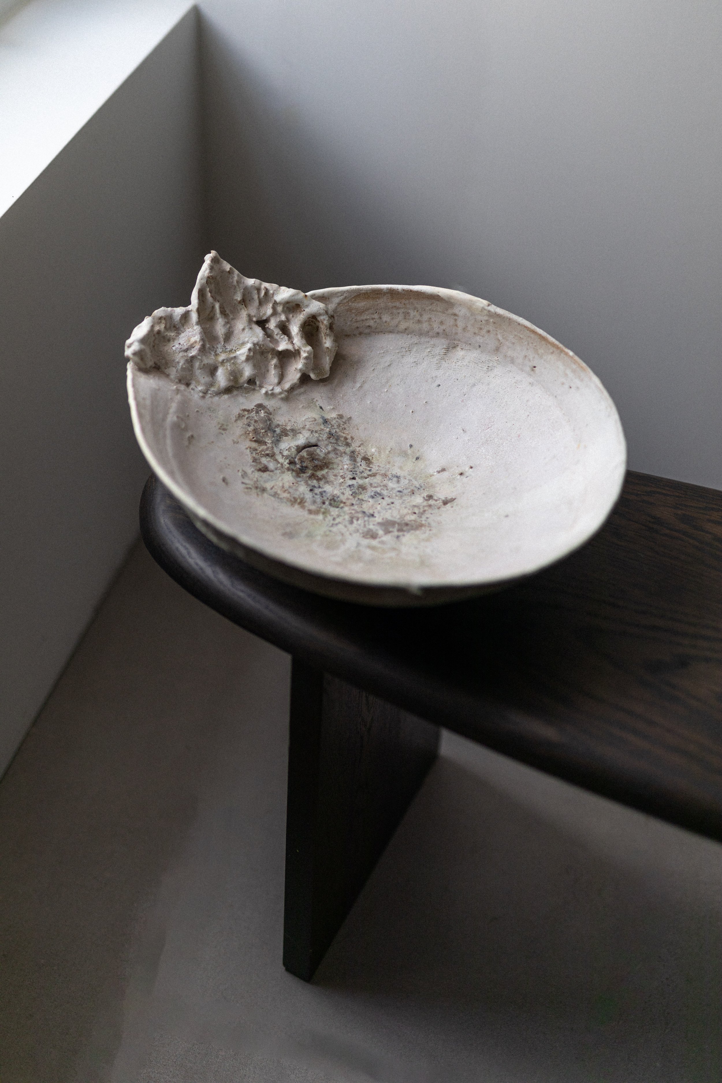 Abalone Bowl by Abigail Schama