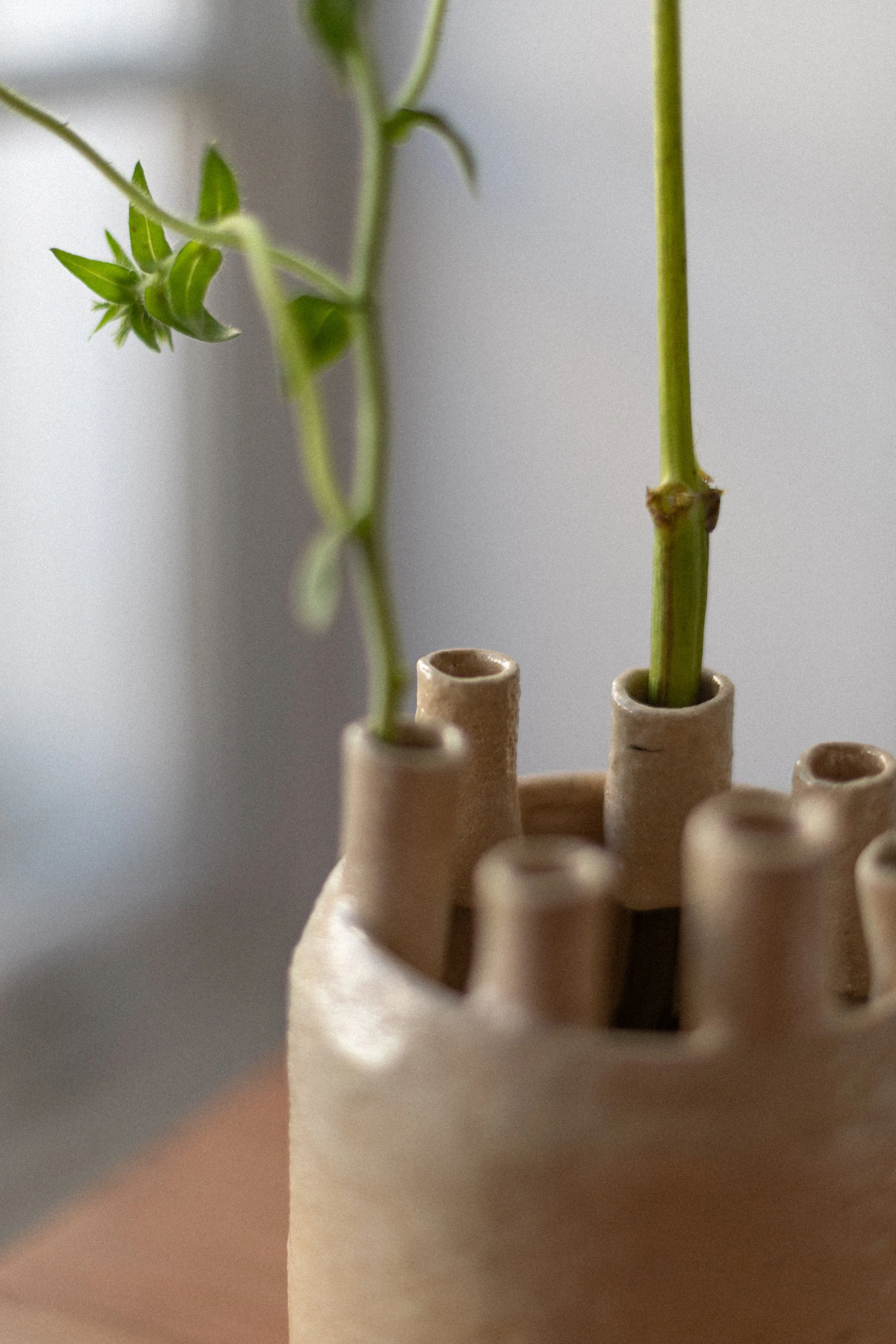 Flow Gallery_Cecile Daladier_Little Natures_Vases_Ceramic-6.jpg