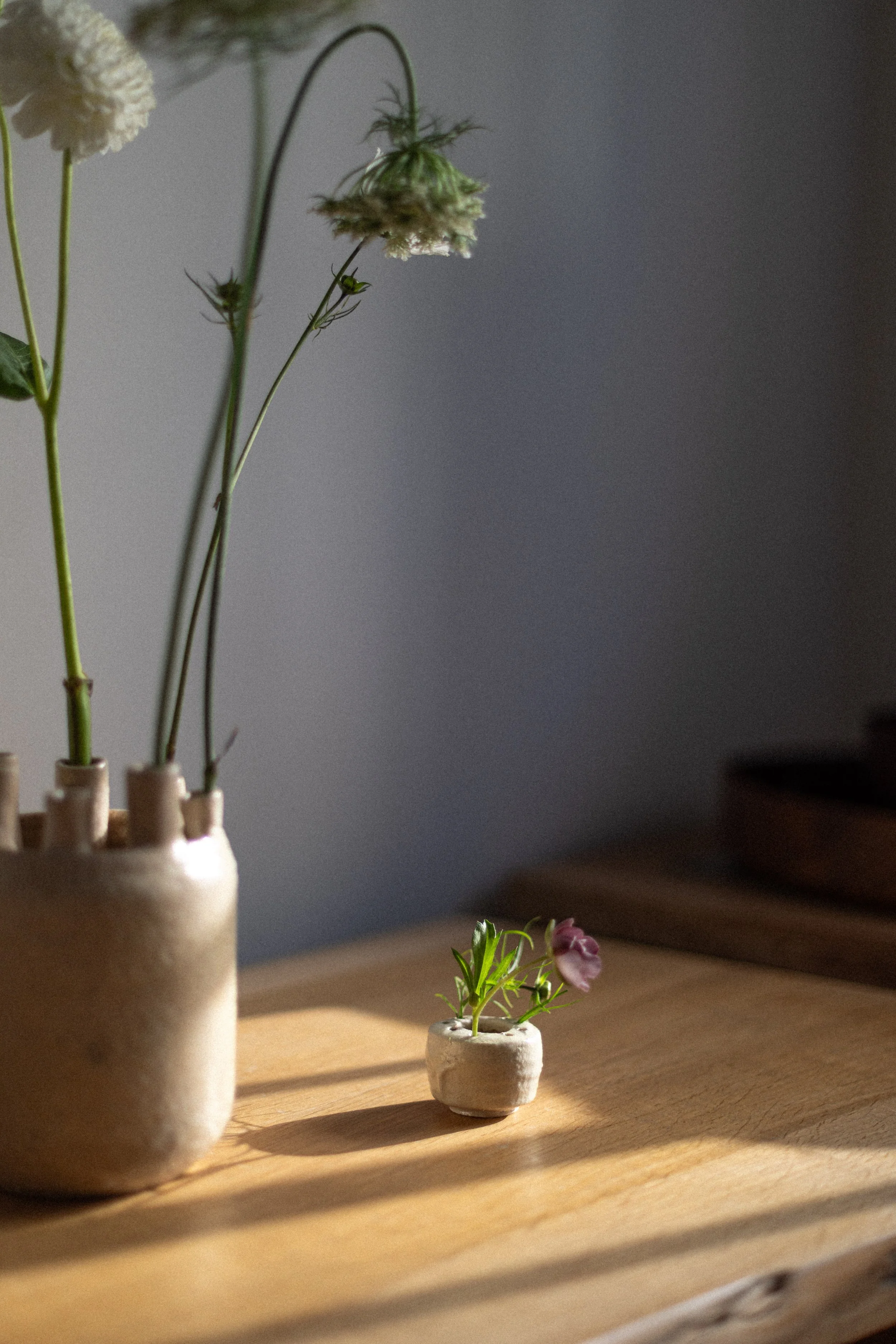 Flow Gallery_Cecile Daladier_Little Natures_Vases_Ceramic-31.jpg