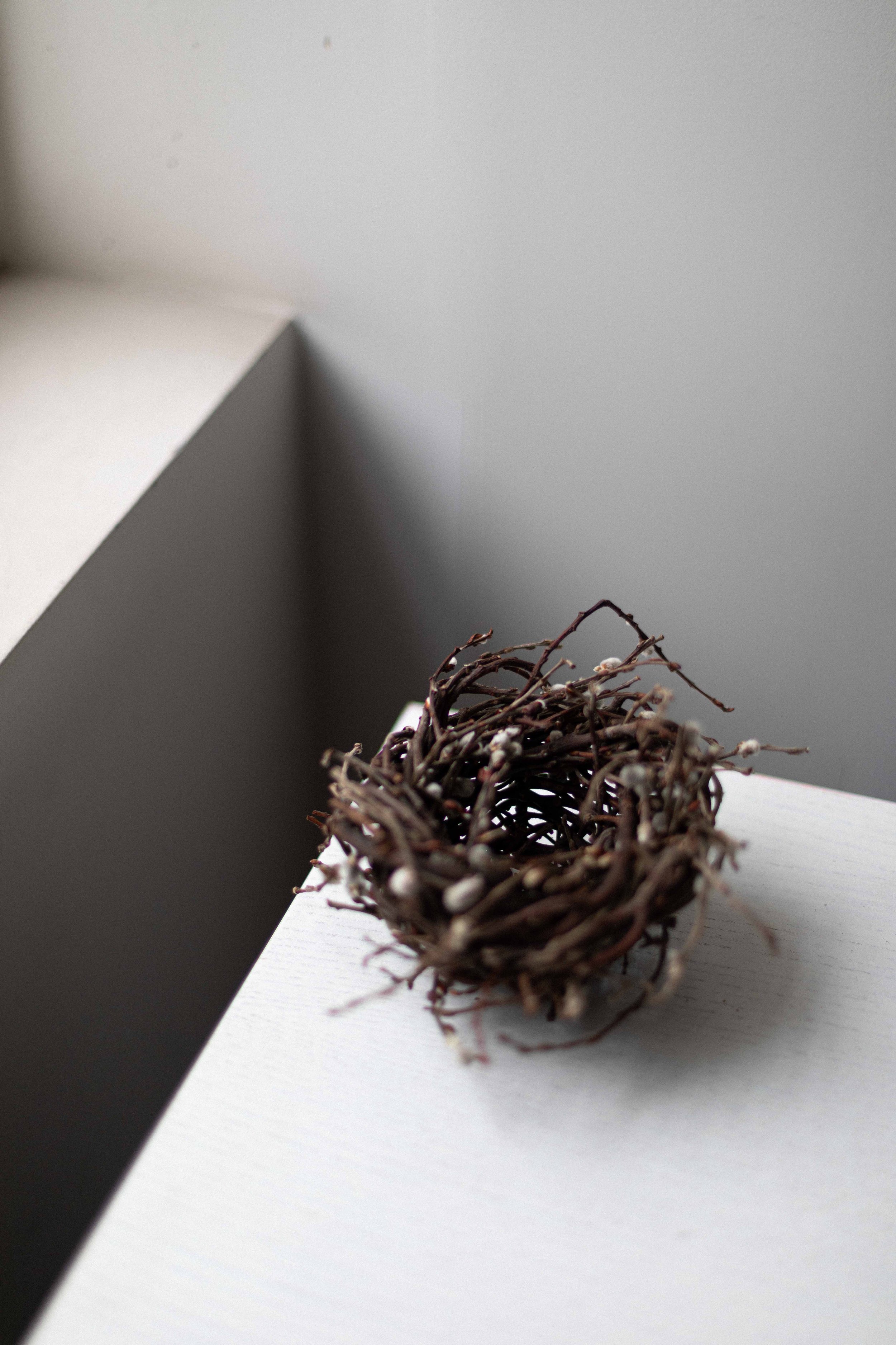 Flow Gallery_Joe Hogan_nest-12.jpg
