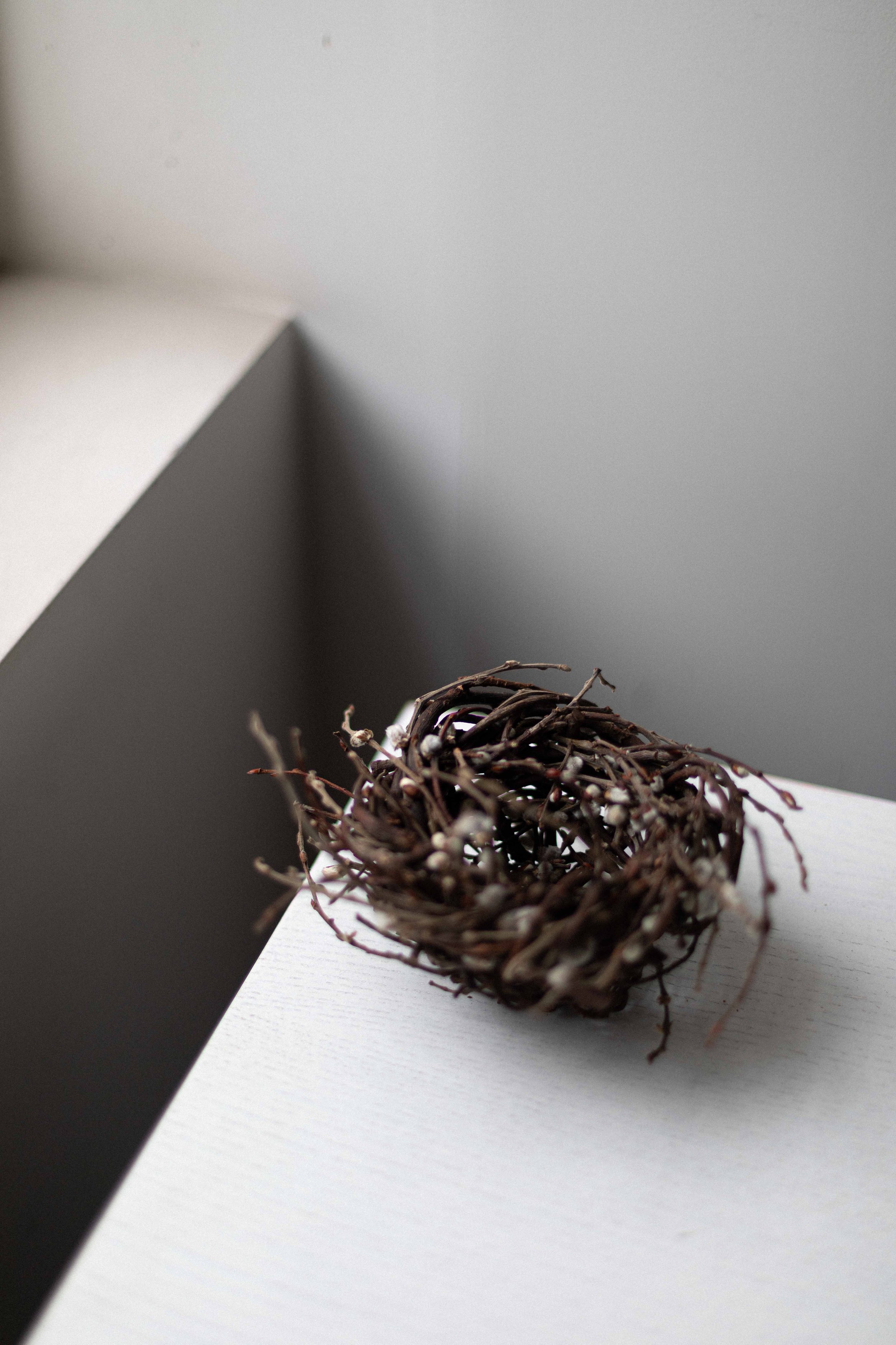 Flow Gallery_Joe Hogan_nest-14.jpg