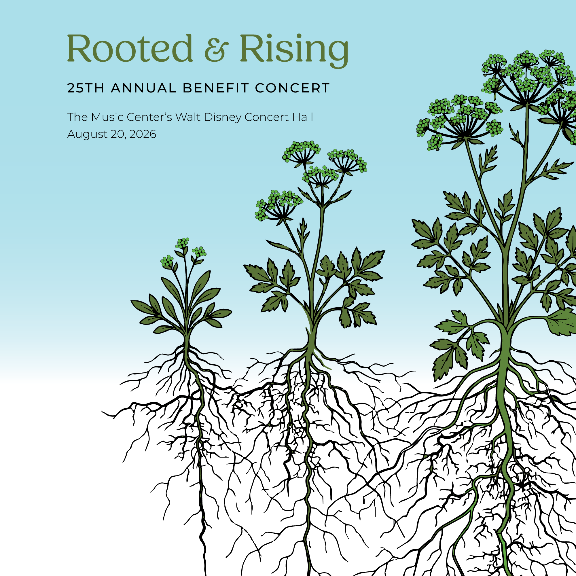 KYCC - Rooted + Rising — One root system, three distinct communities