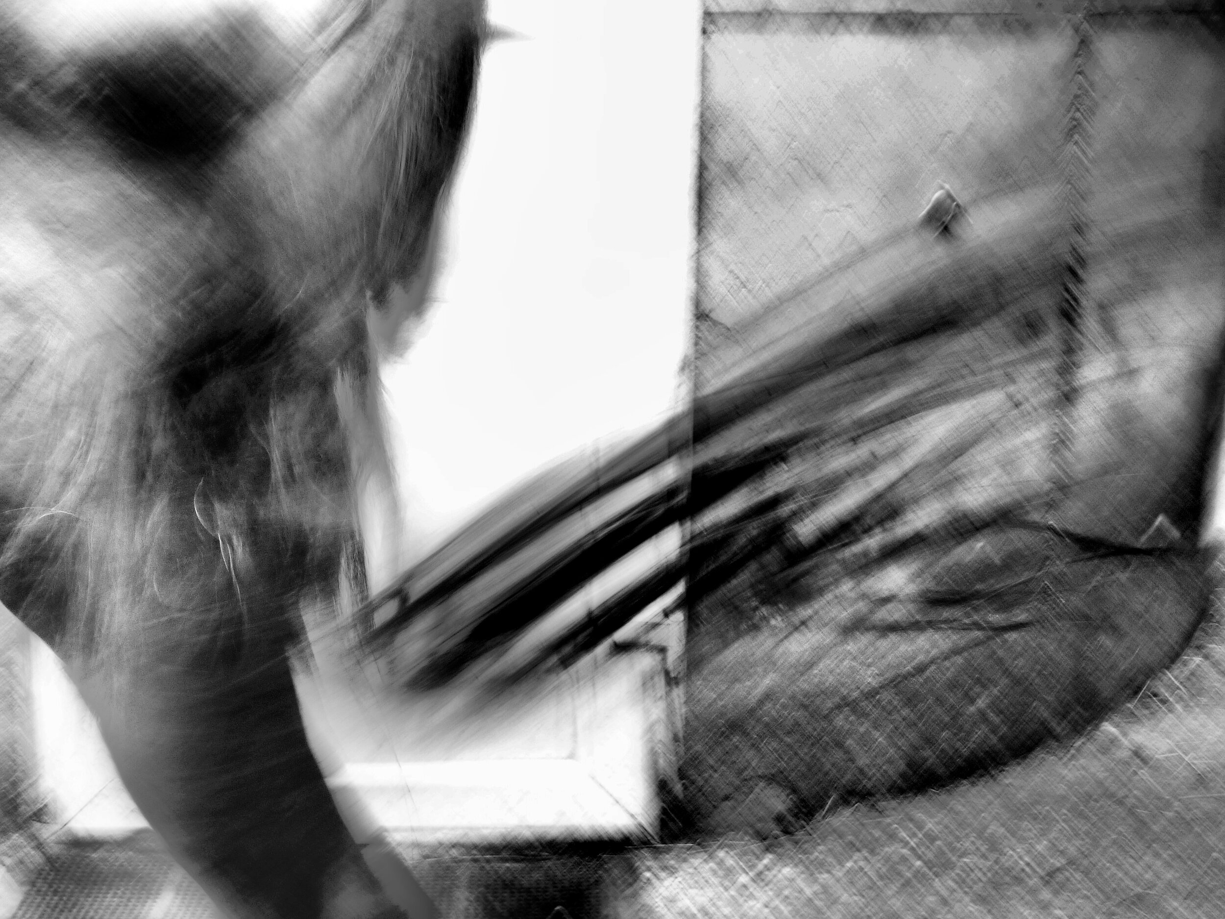 L1060552TD.jpg