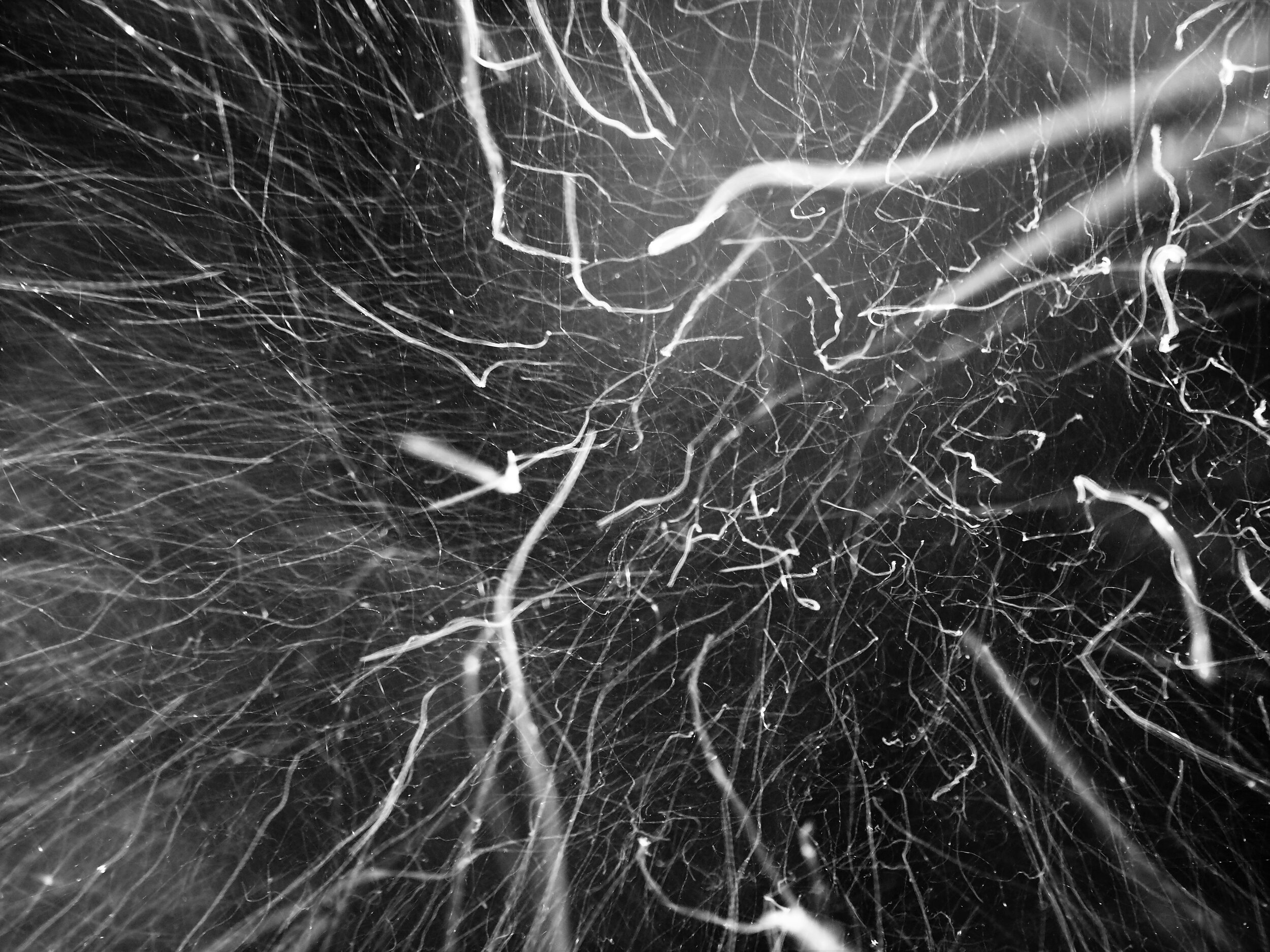 P1110126B.JPG