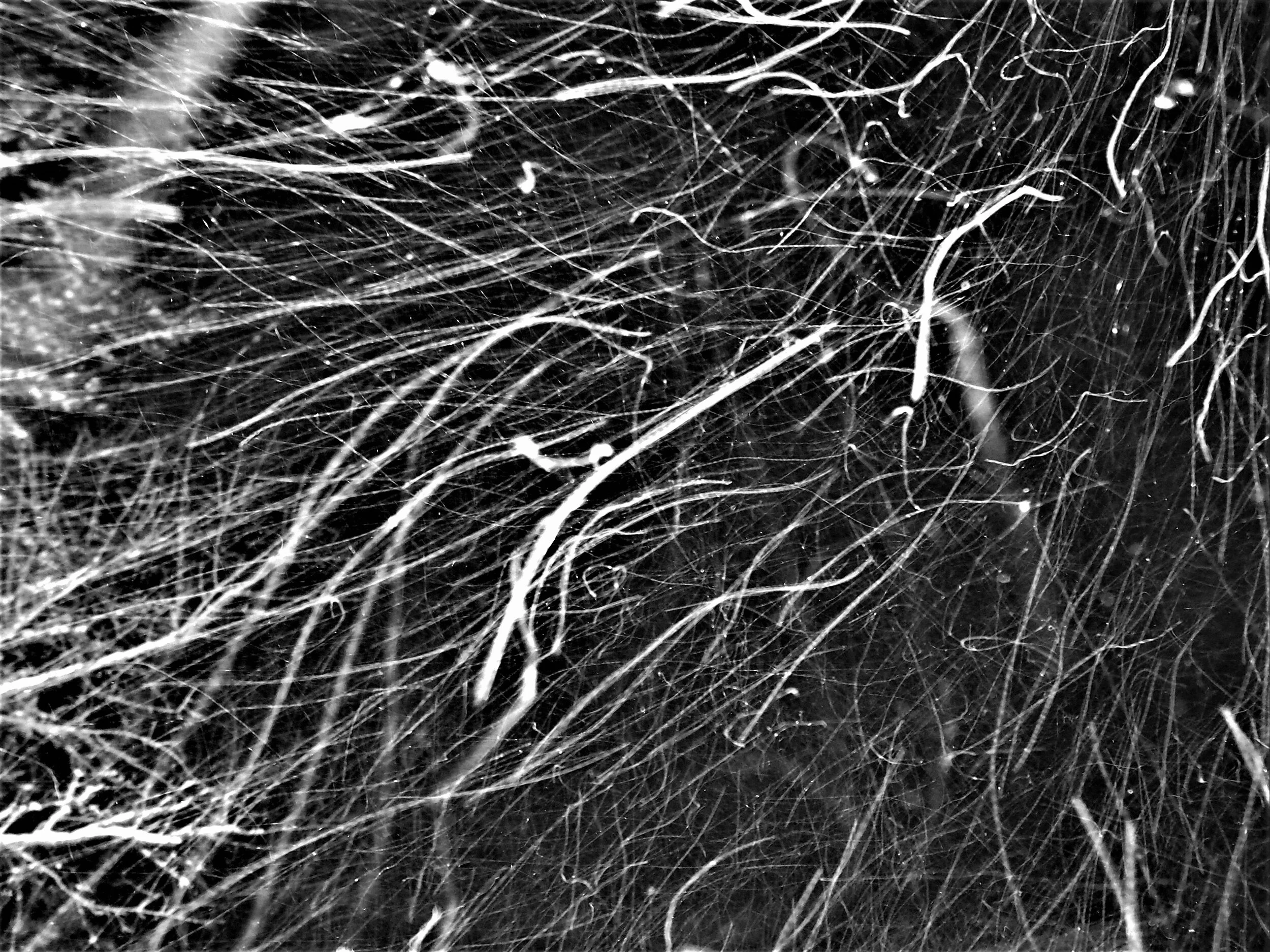 P1110129B.jpg