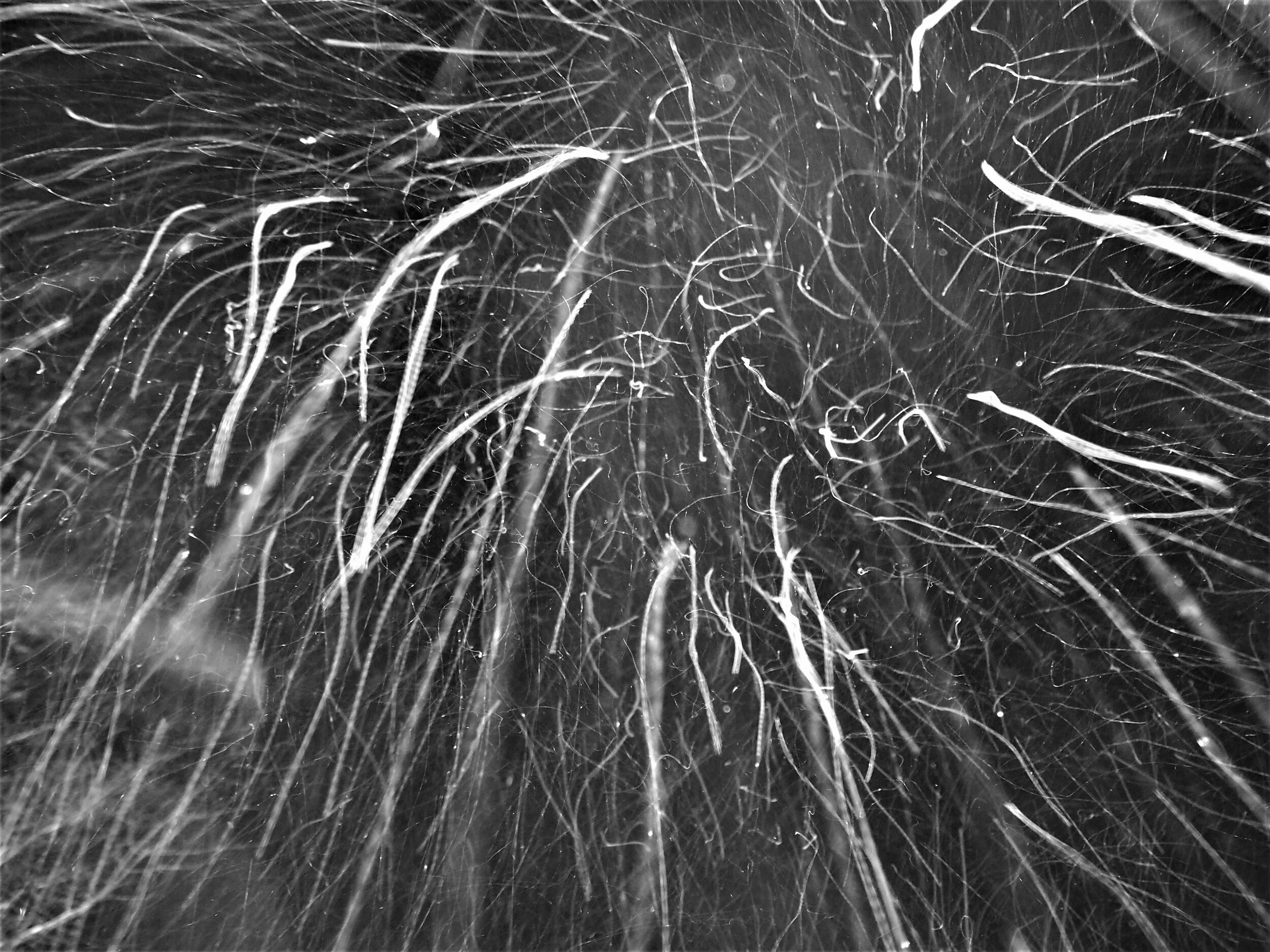P1110130B.jpg