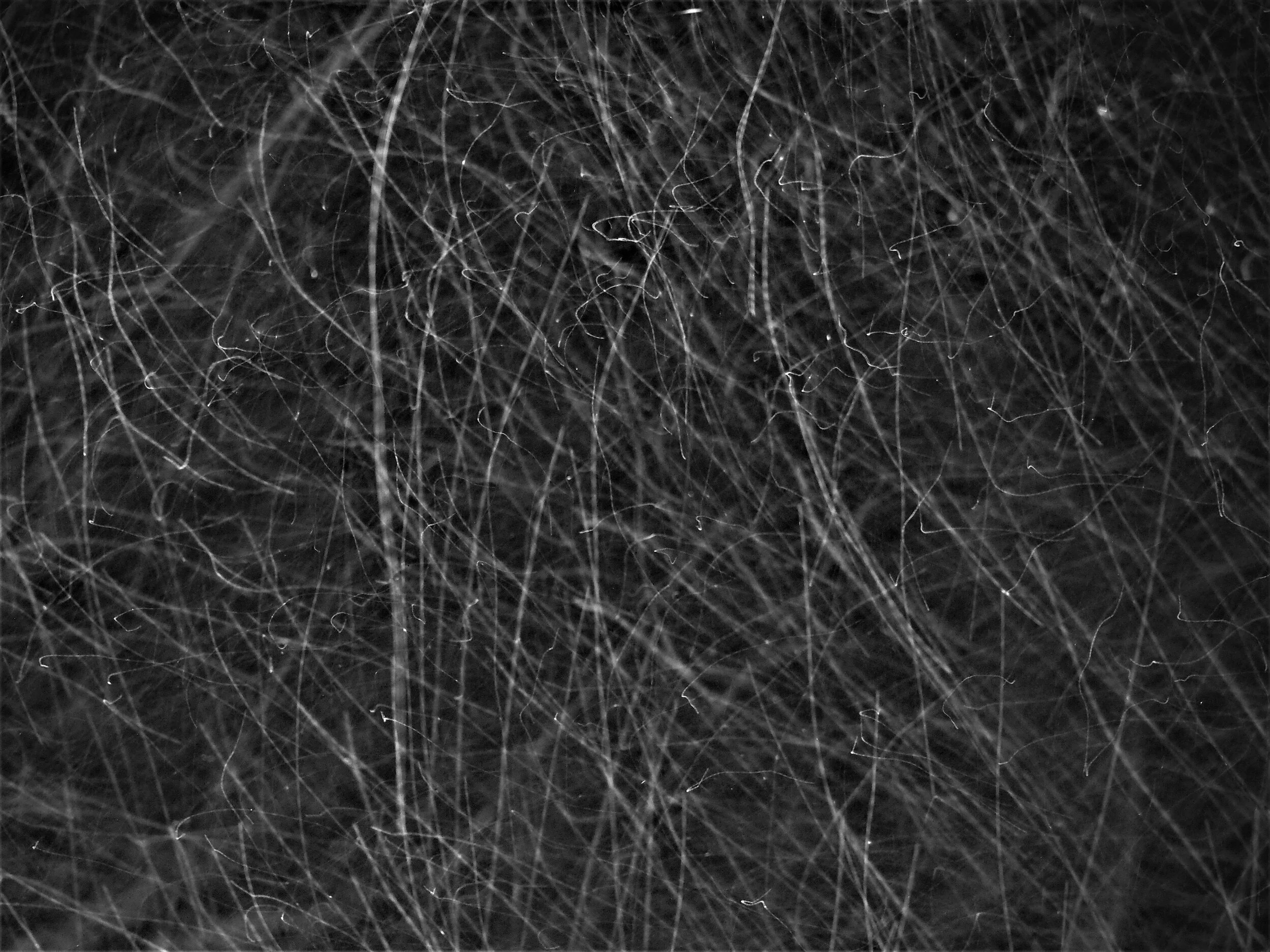 P1110210B.jpg