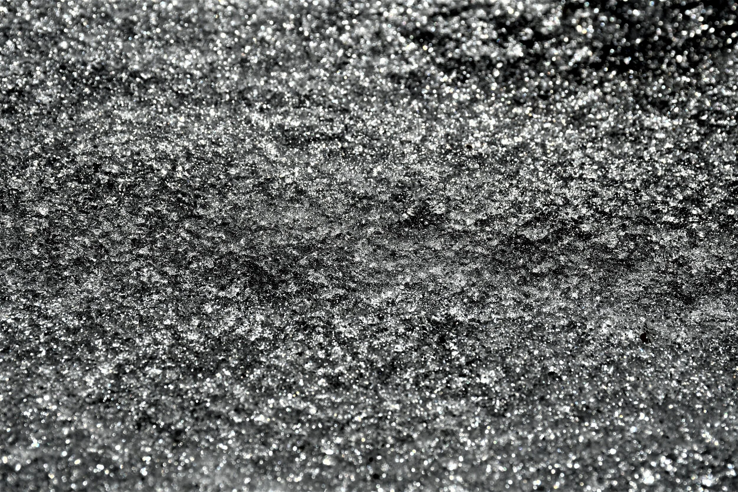 DSC_2286_00001B.jpg
